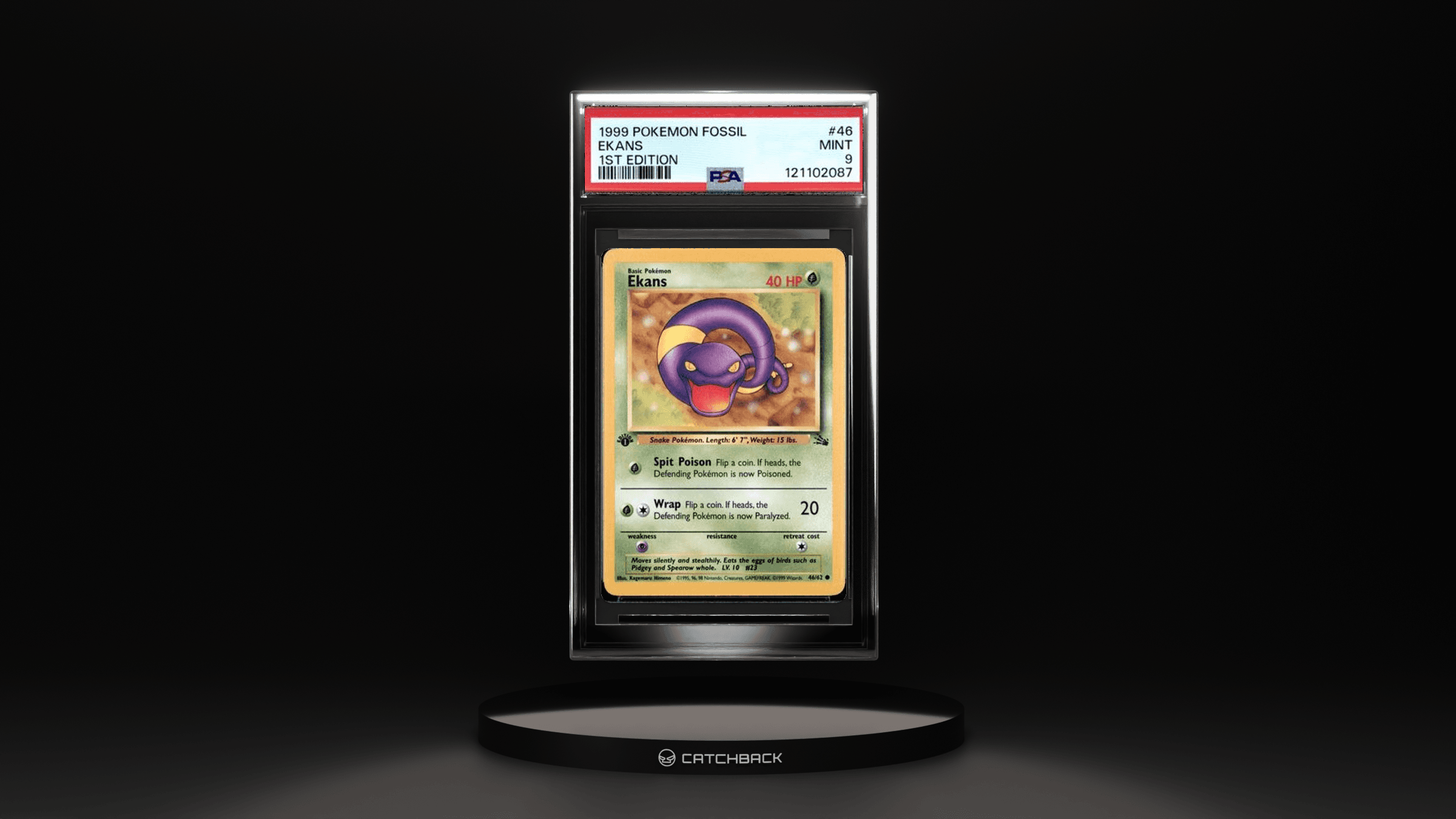 Ekans 1st Edition