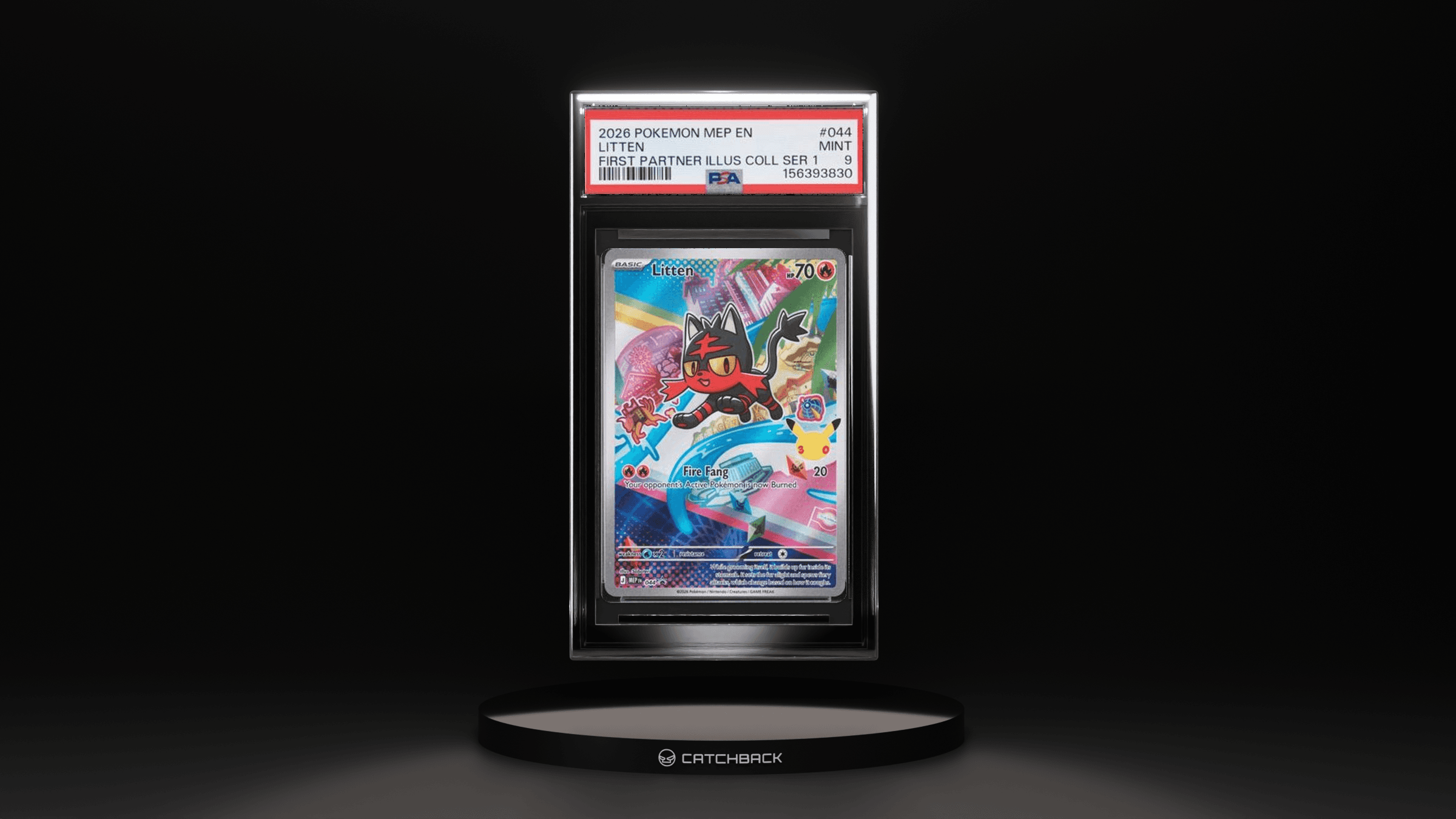 Litten First Partner Illus Coll Ser 1