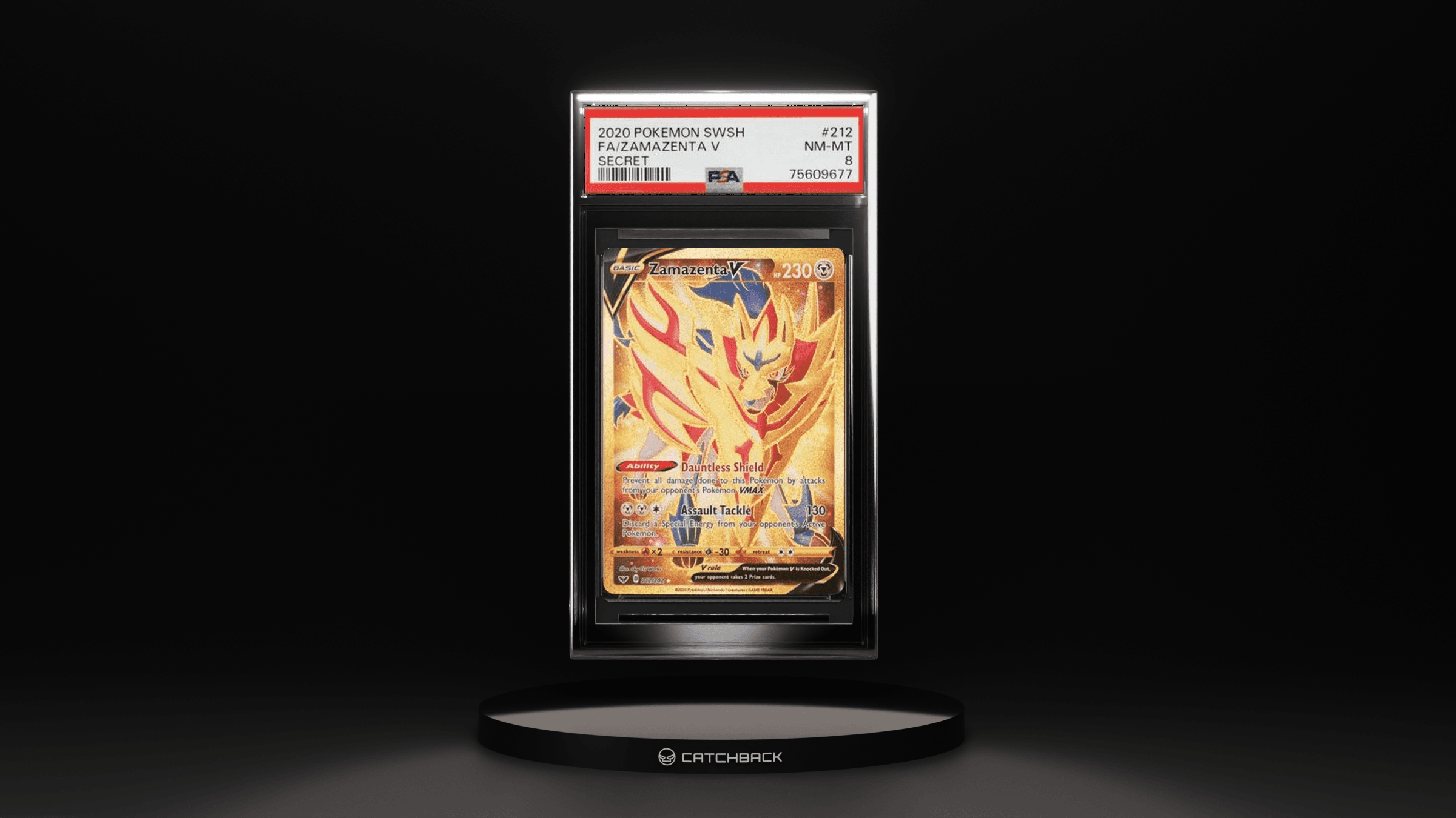 Fa/ Zamazenta V Secret