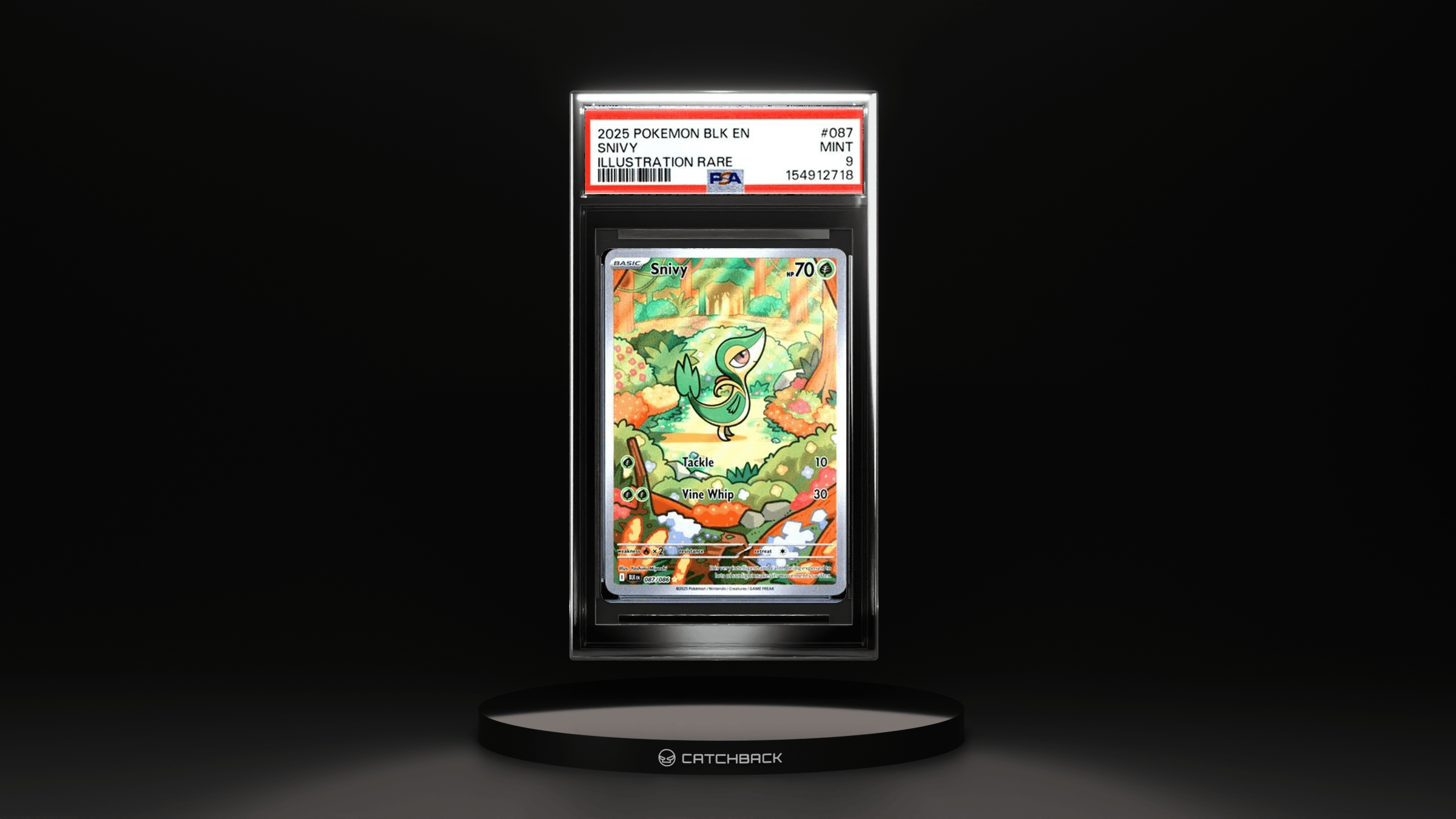 Snivy Illustration Rare