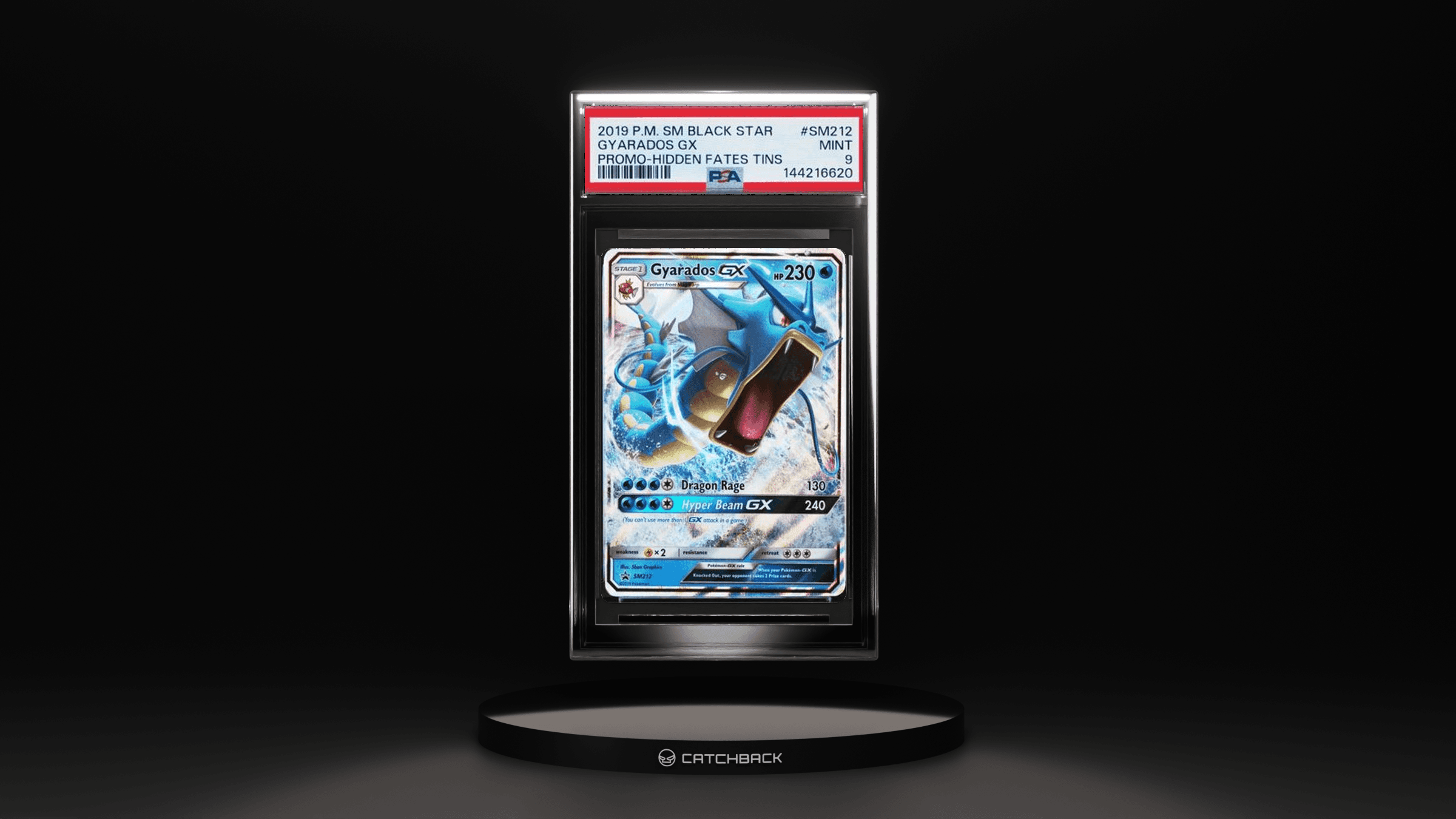 Gyarados Gx Promo-hidden Fates Tins