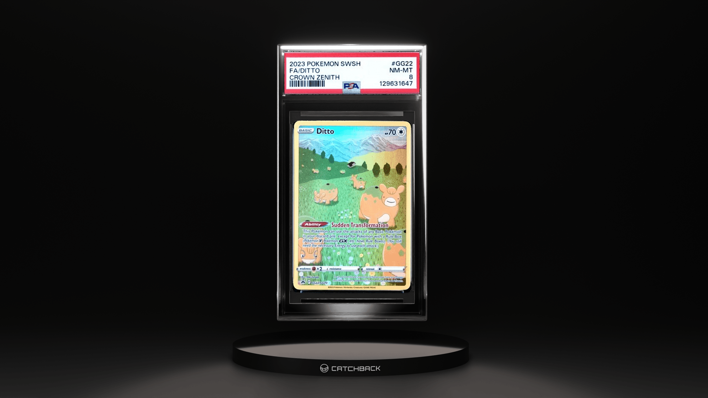 Fa/ Ditto Crown Zenith