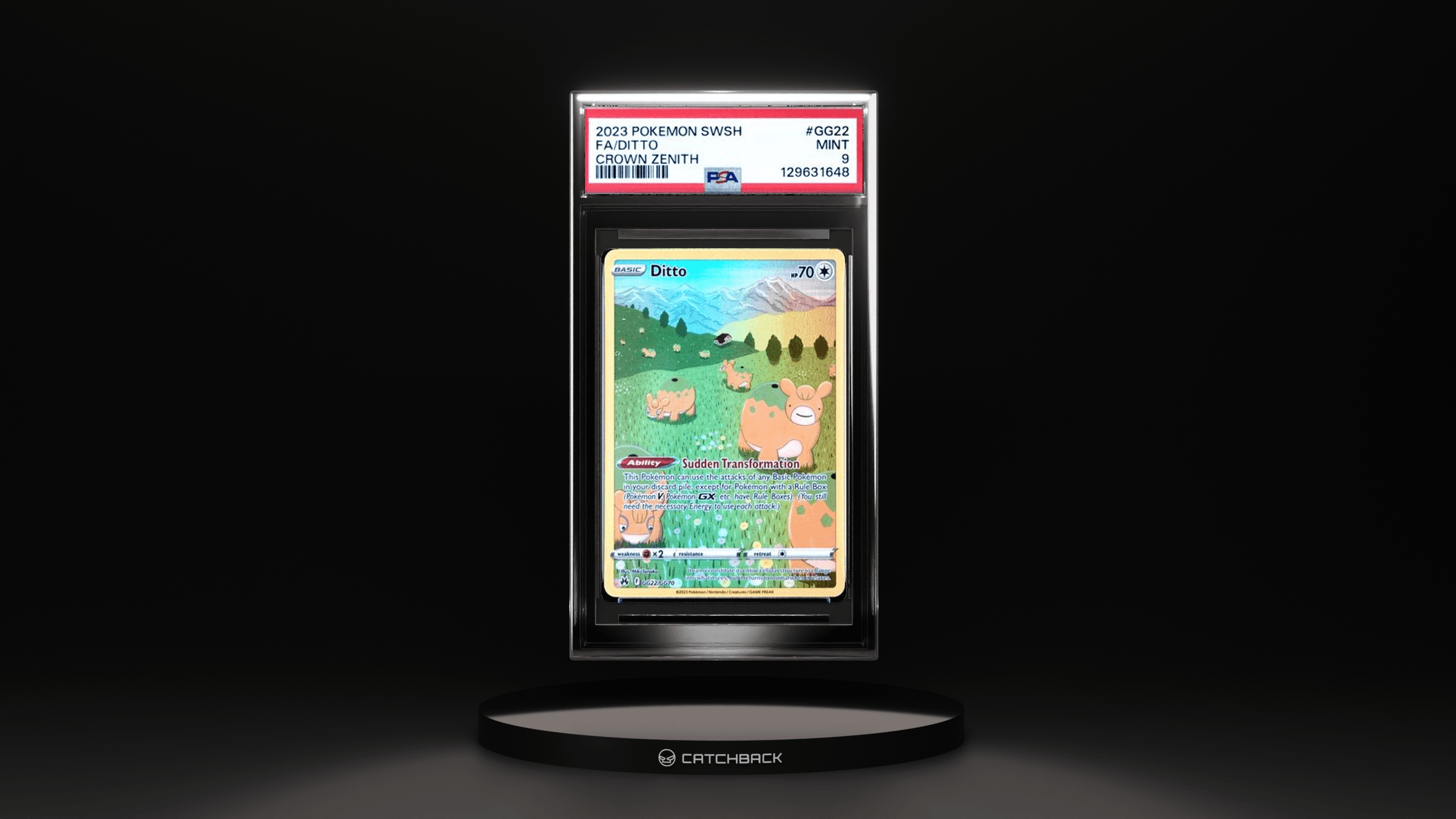 Fa/ Ditto Crown Zenith