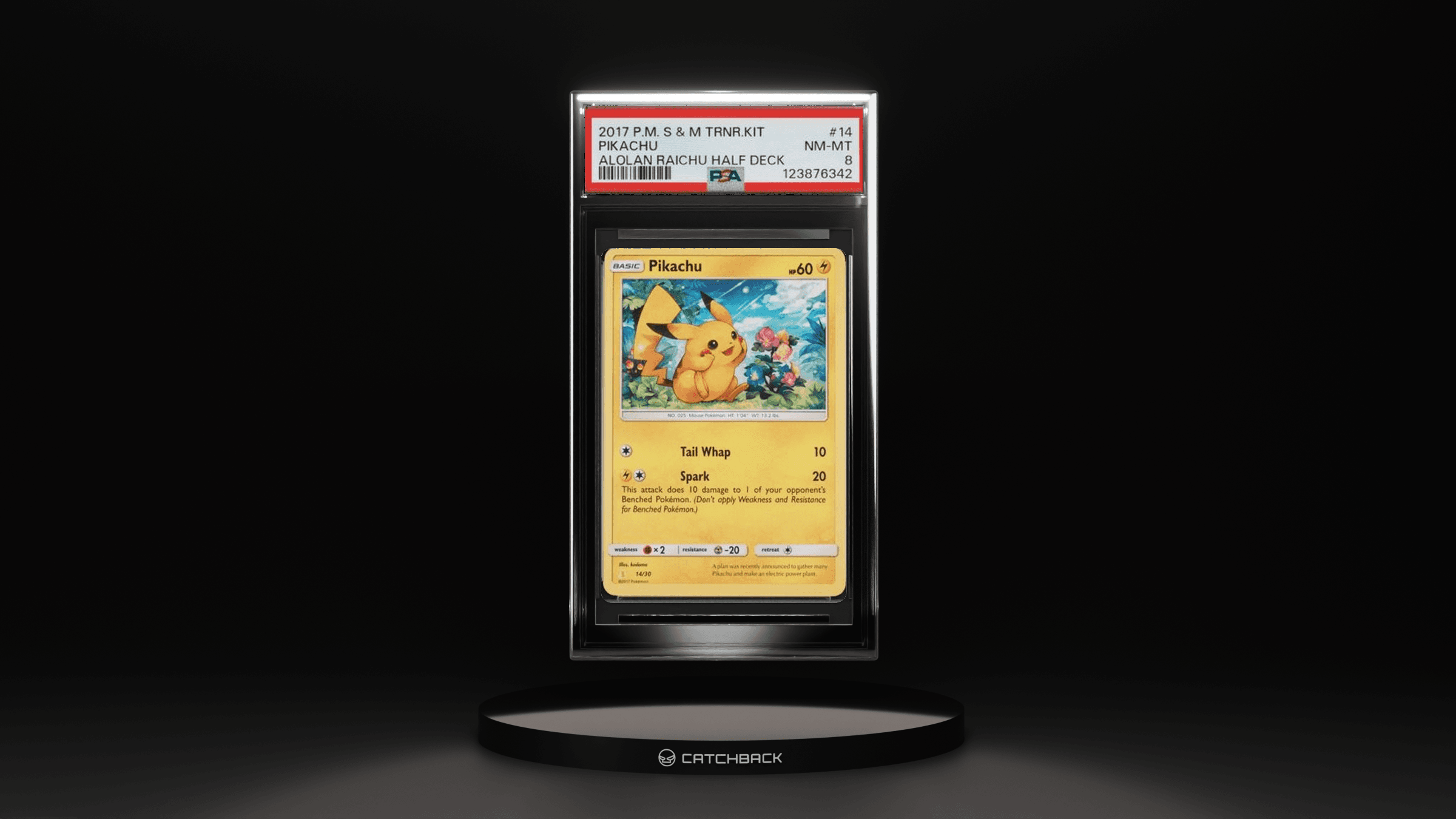 Pikachu Alolan Raichu Half Deck