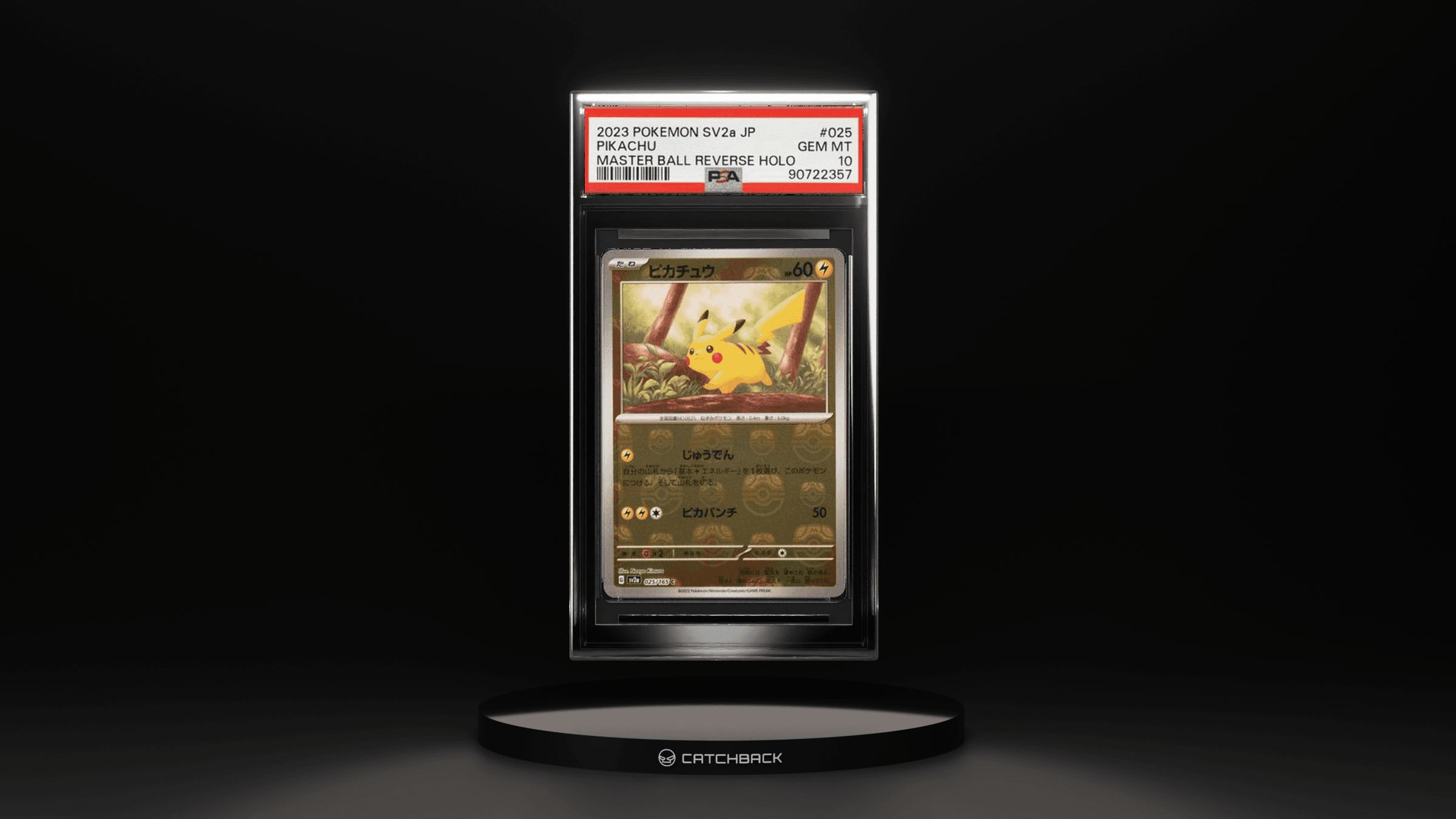 Pikachu Master Ball Reverse Holo