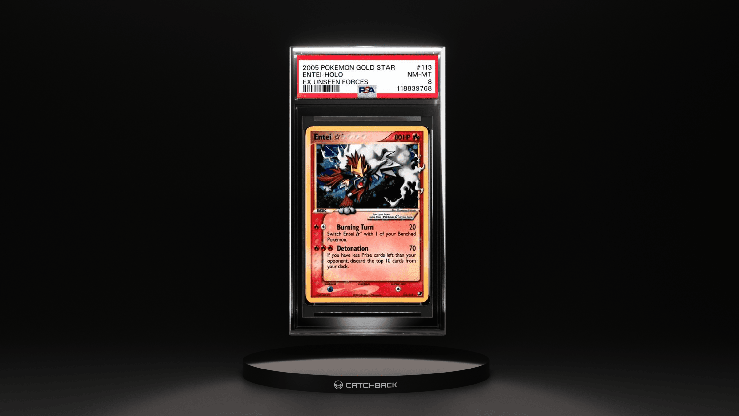 Entei-holo Ex Unseen Forces