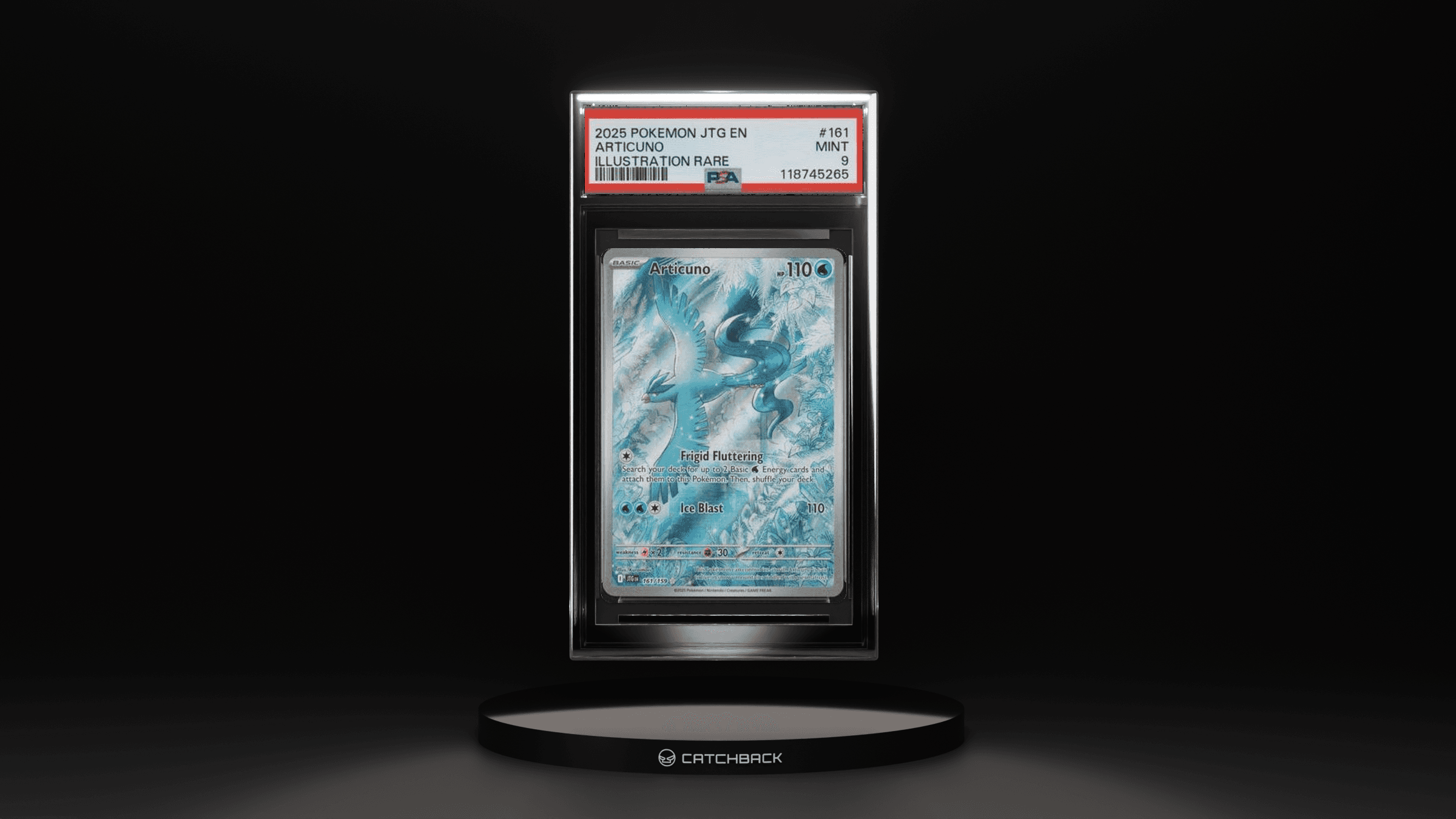 Articuno Illustration Rare