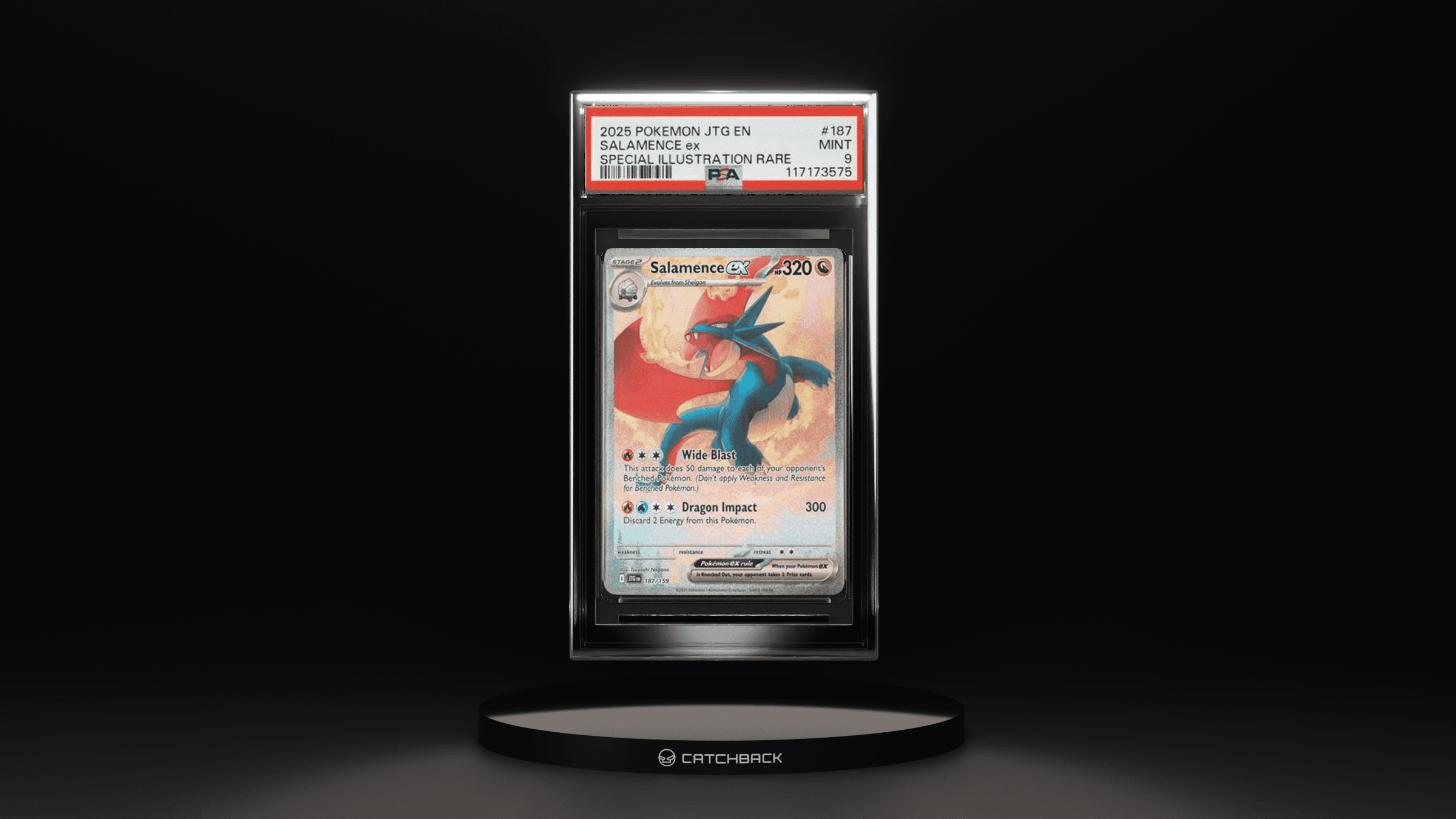 Salamence Ex