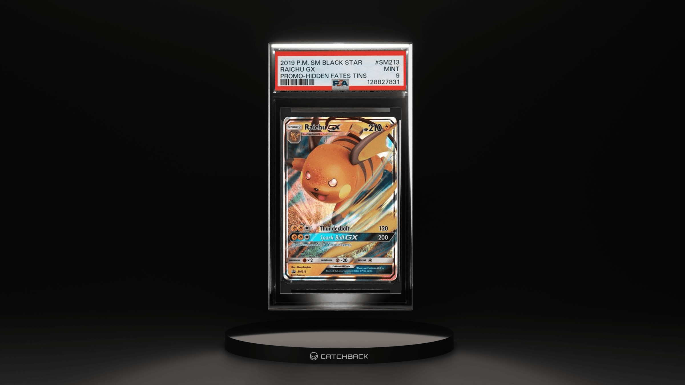 Raichu Gx Promo-hidden Fates Tins