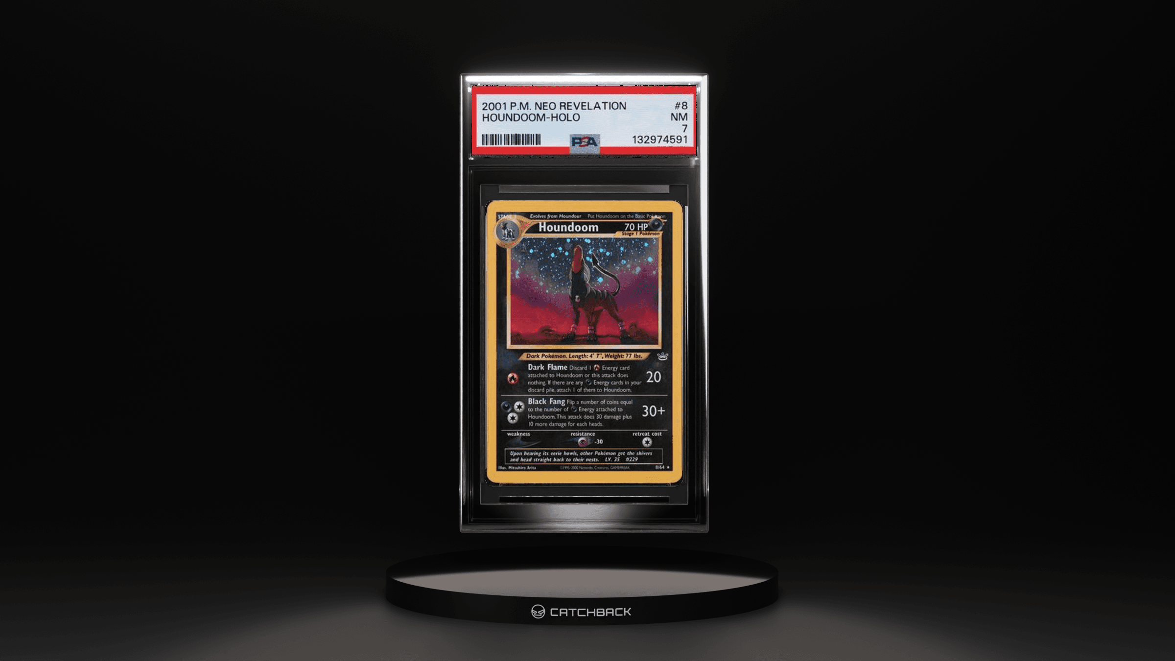 Houndoom-holo