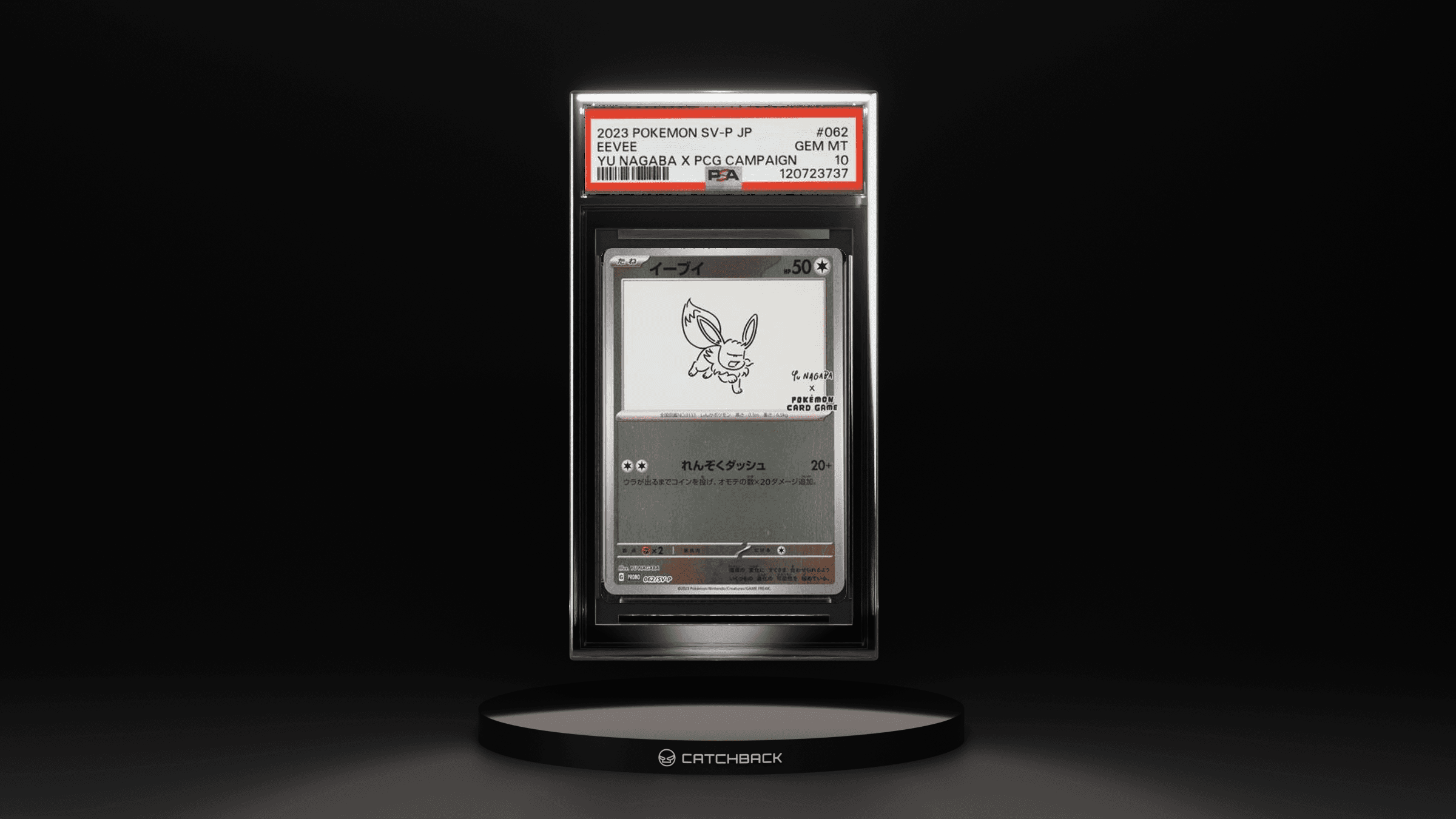 Eevee Yu Nagaba X Pcg Campaign