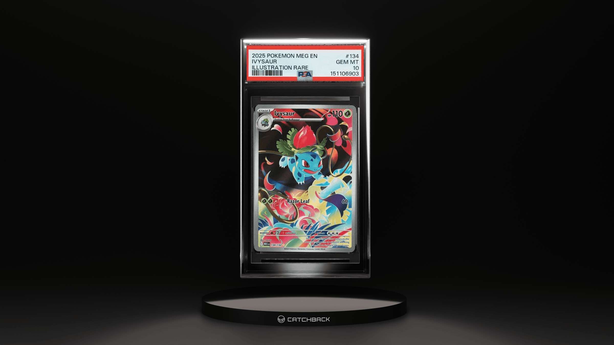 Ivysaur Illustration Rare