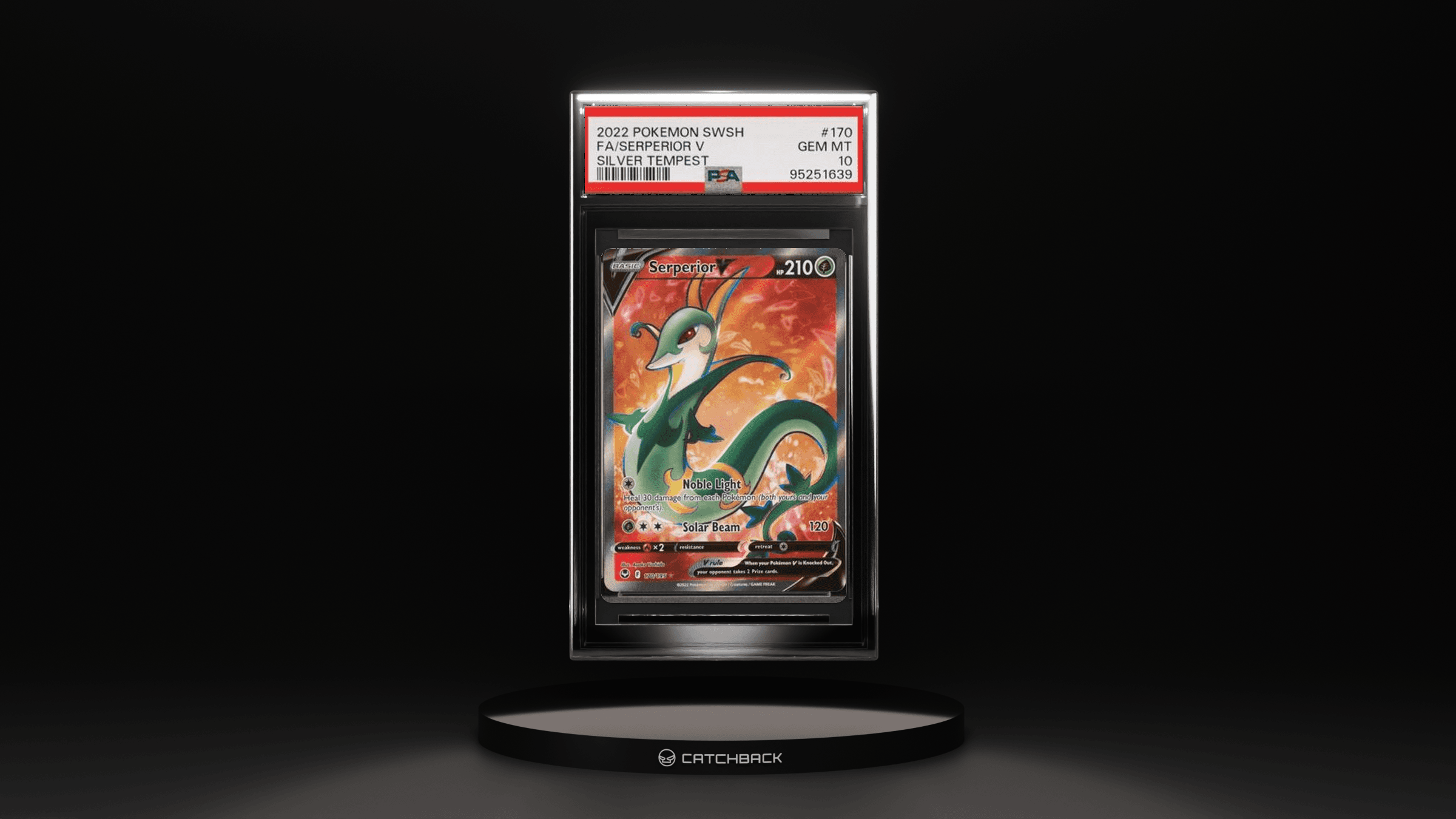 Fa/ Serperior V Silver Tempest