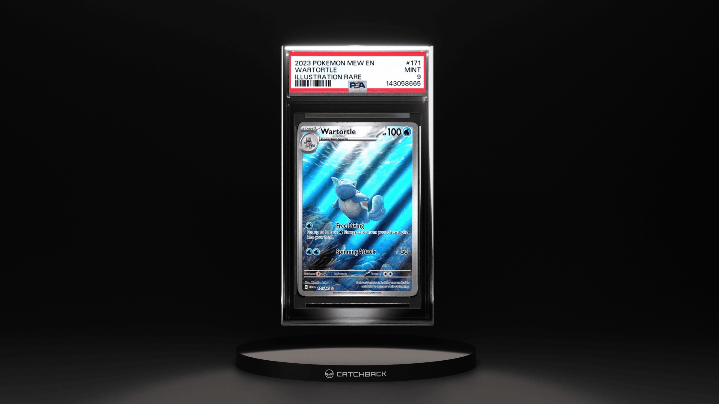 Wartortle Illustration Rare