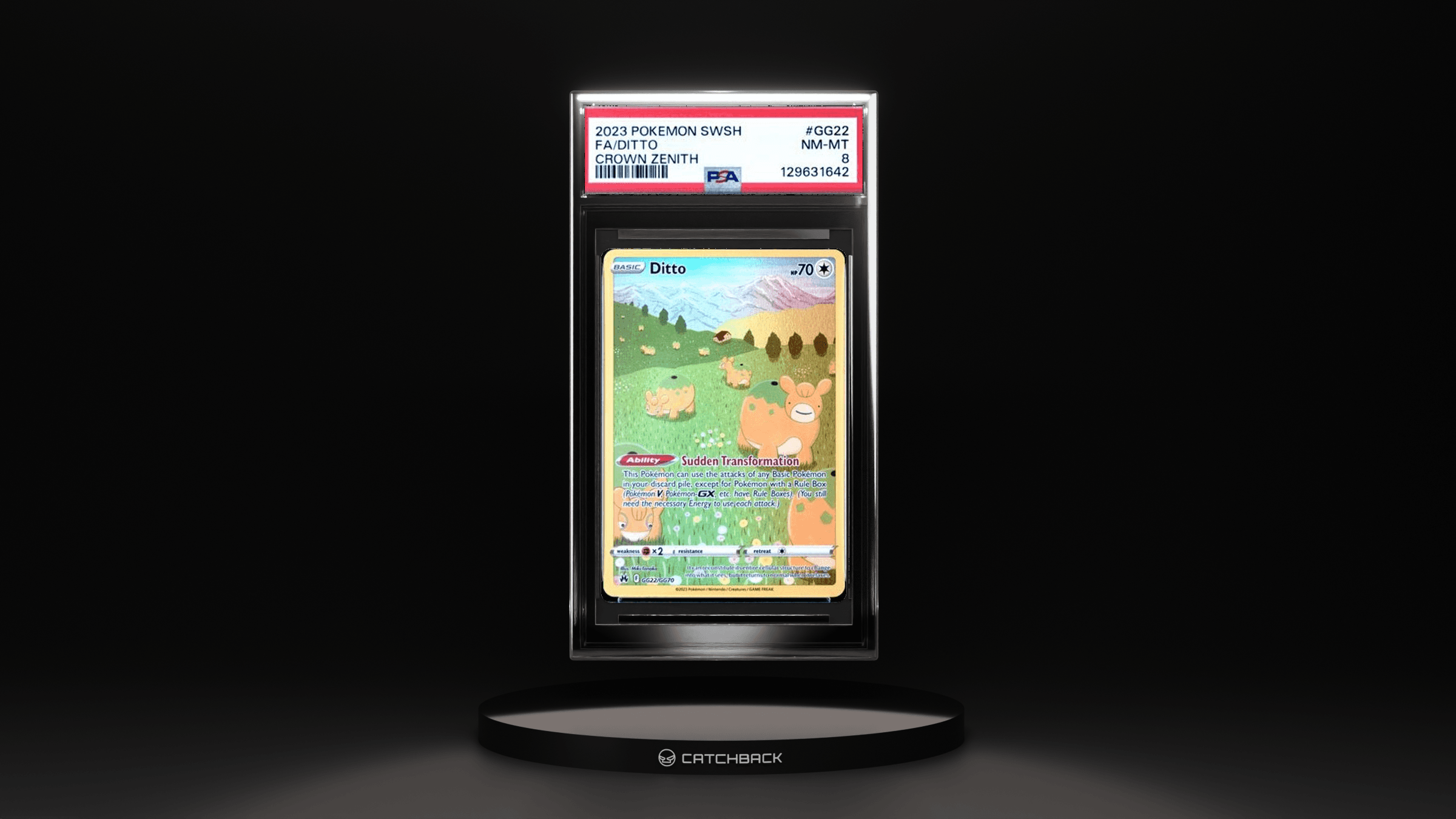 Fa/ Ditto Crown Zenith