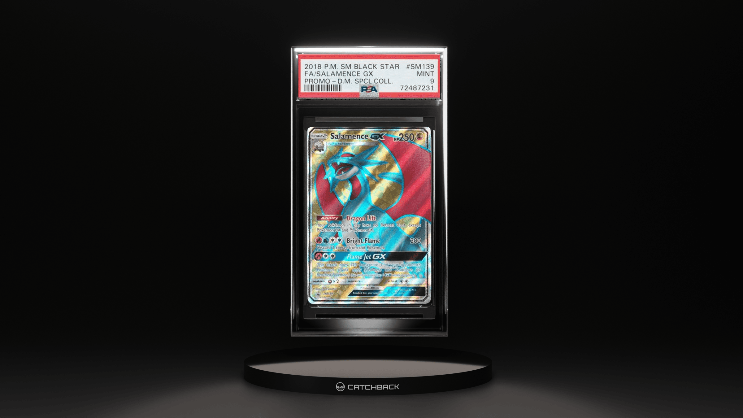 Fa/ Salamence Gx Promo-d.m. Spcl.coll.