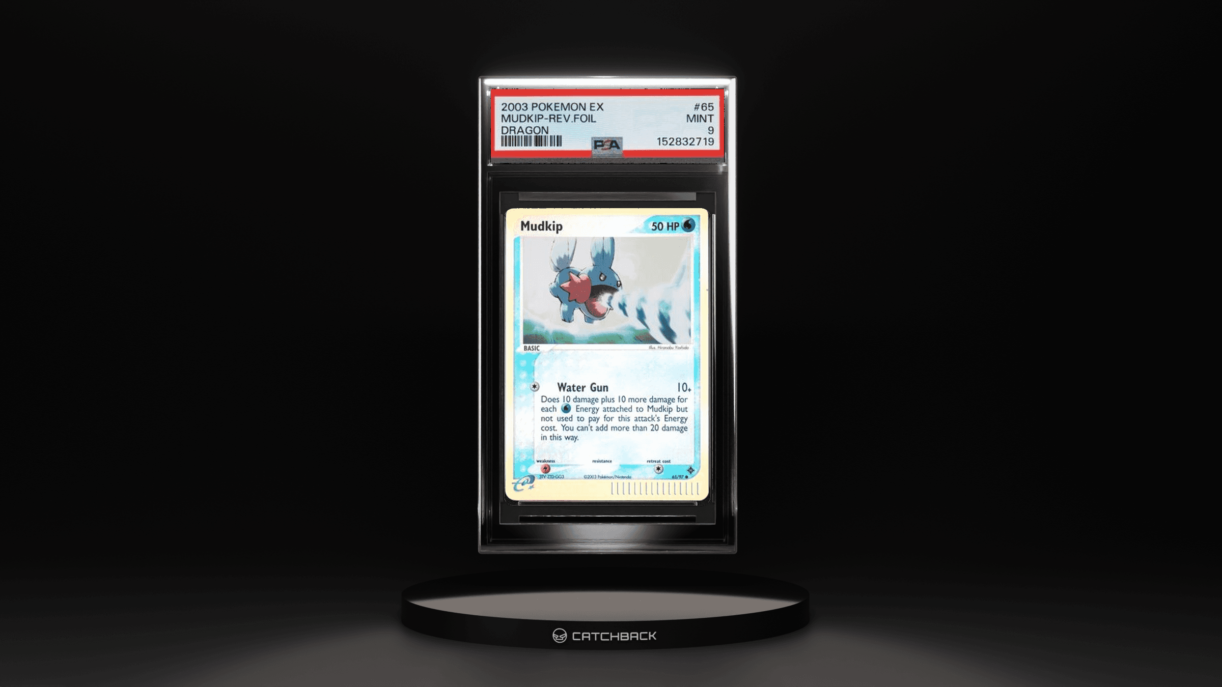 Mudkip-rev.foil Dragon