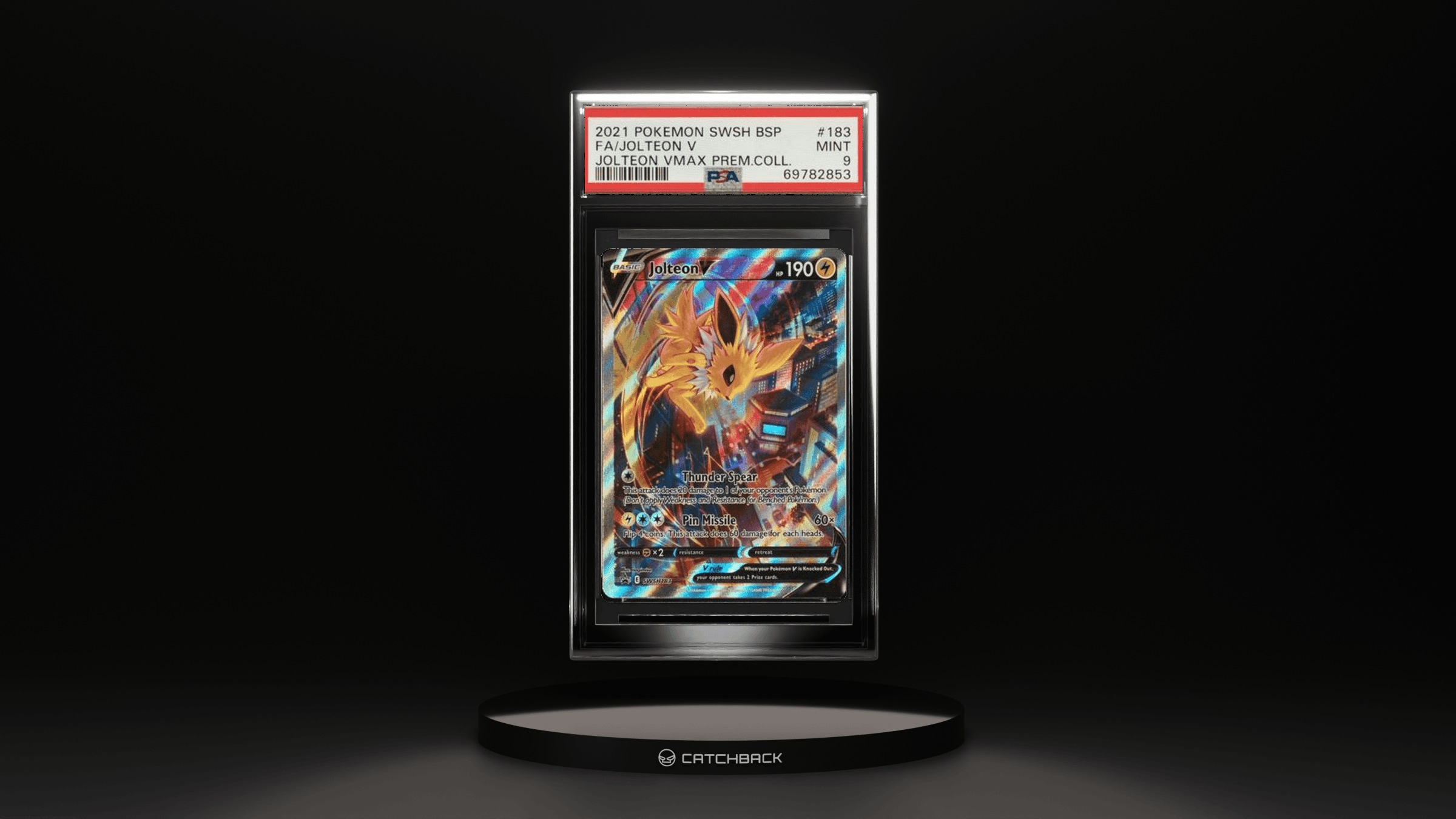 Fa/ Jolteon V Jolteon Vmax Prem.coll.
