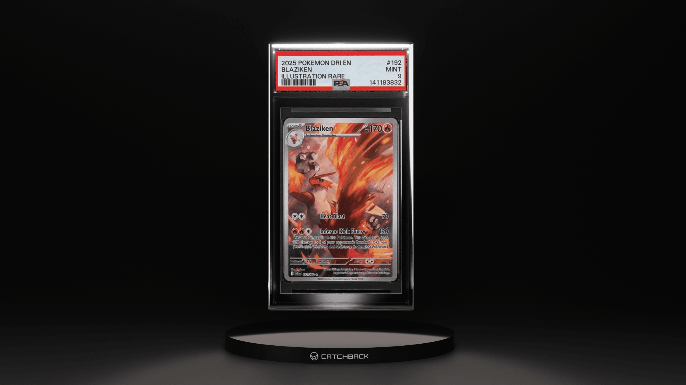 Blaziken Illustration Rare