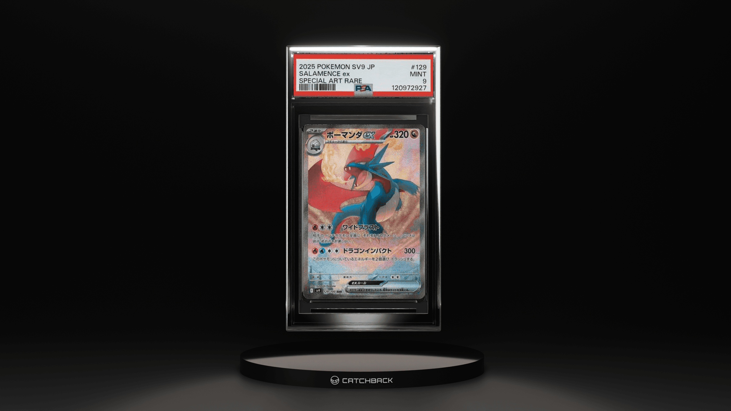 Salamence Ex Special Art Rare
