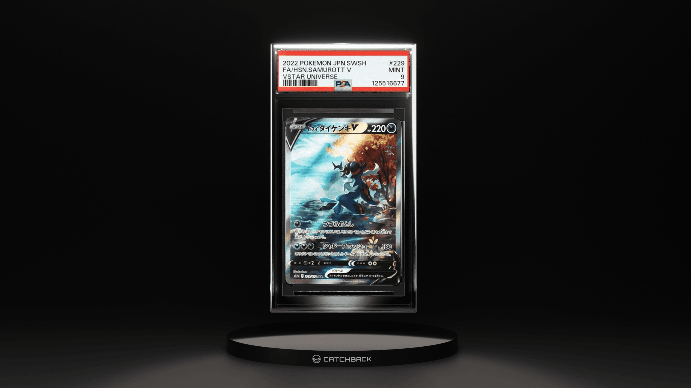 Japanese Hsn.samurott V Vstar Universe