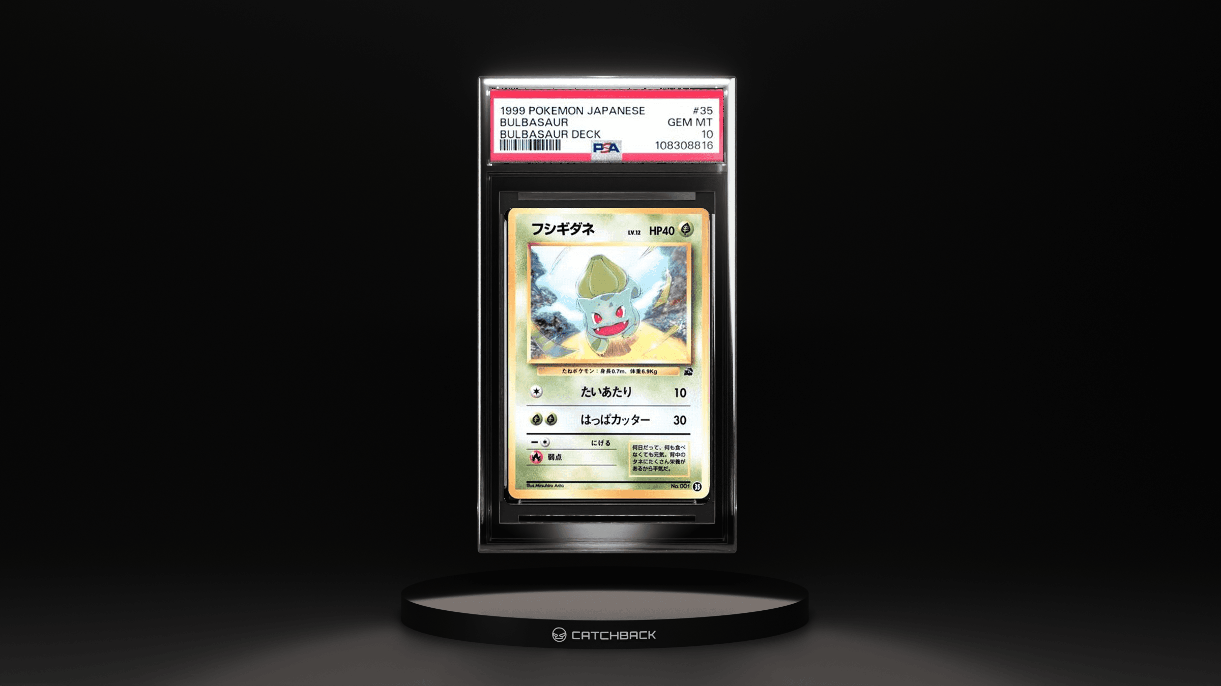 Bulbasaur Bulbasaur Deck