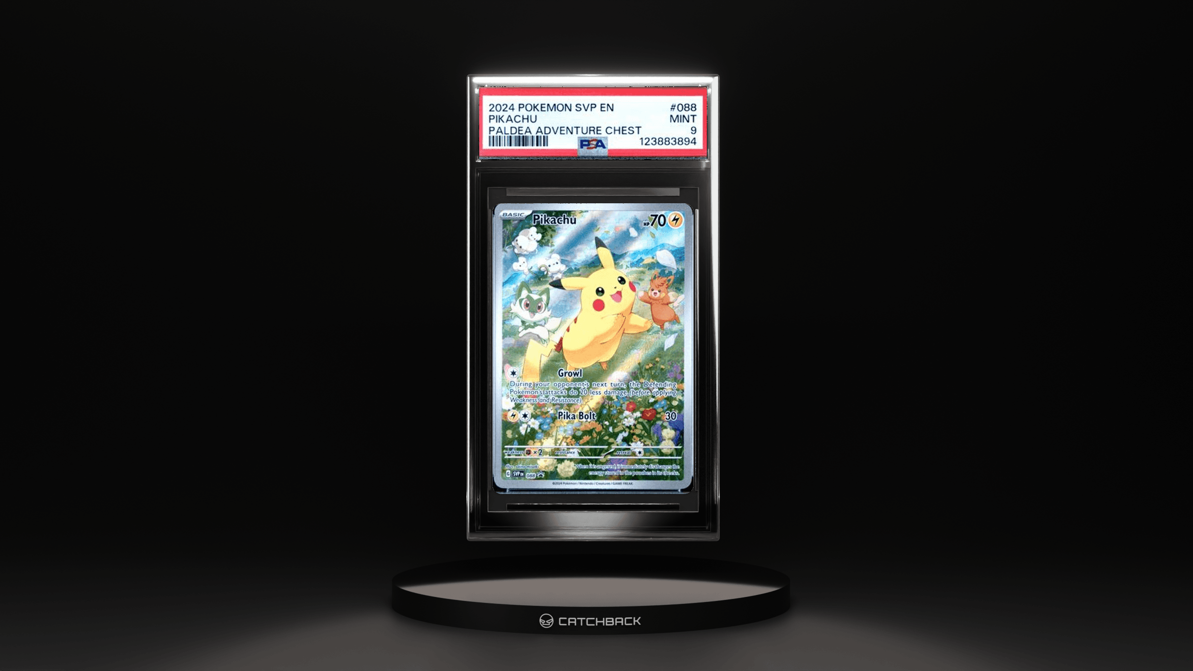 Pikachu Paldea Adventure Chest
