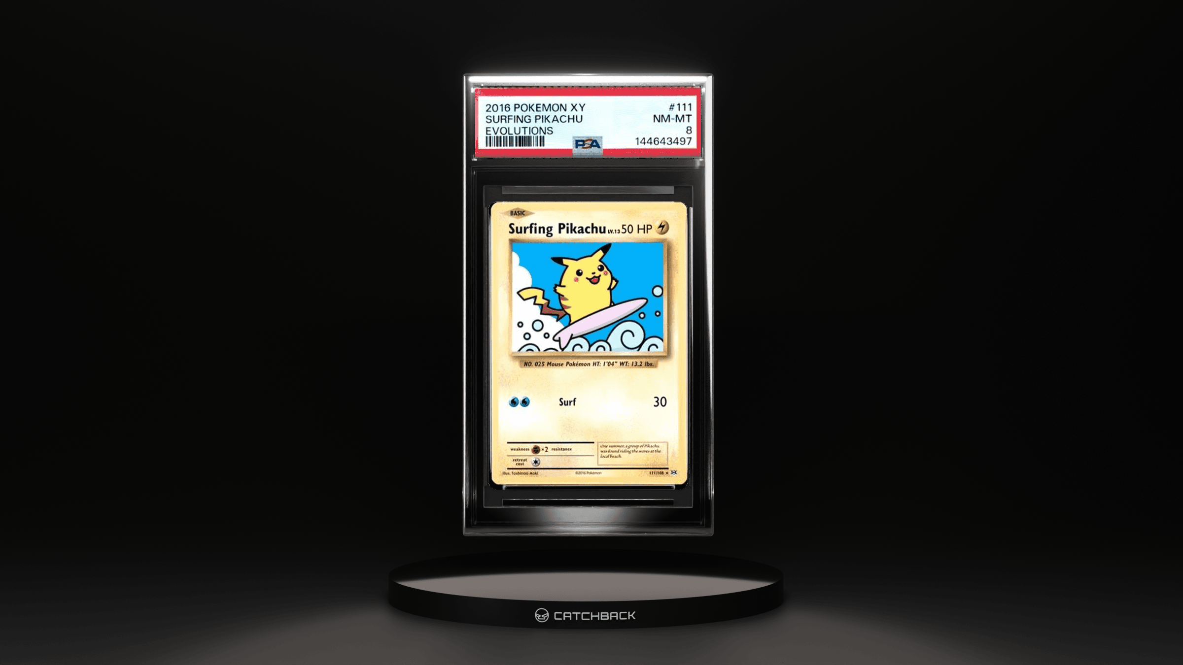 Surfing Pikachu Evolutions