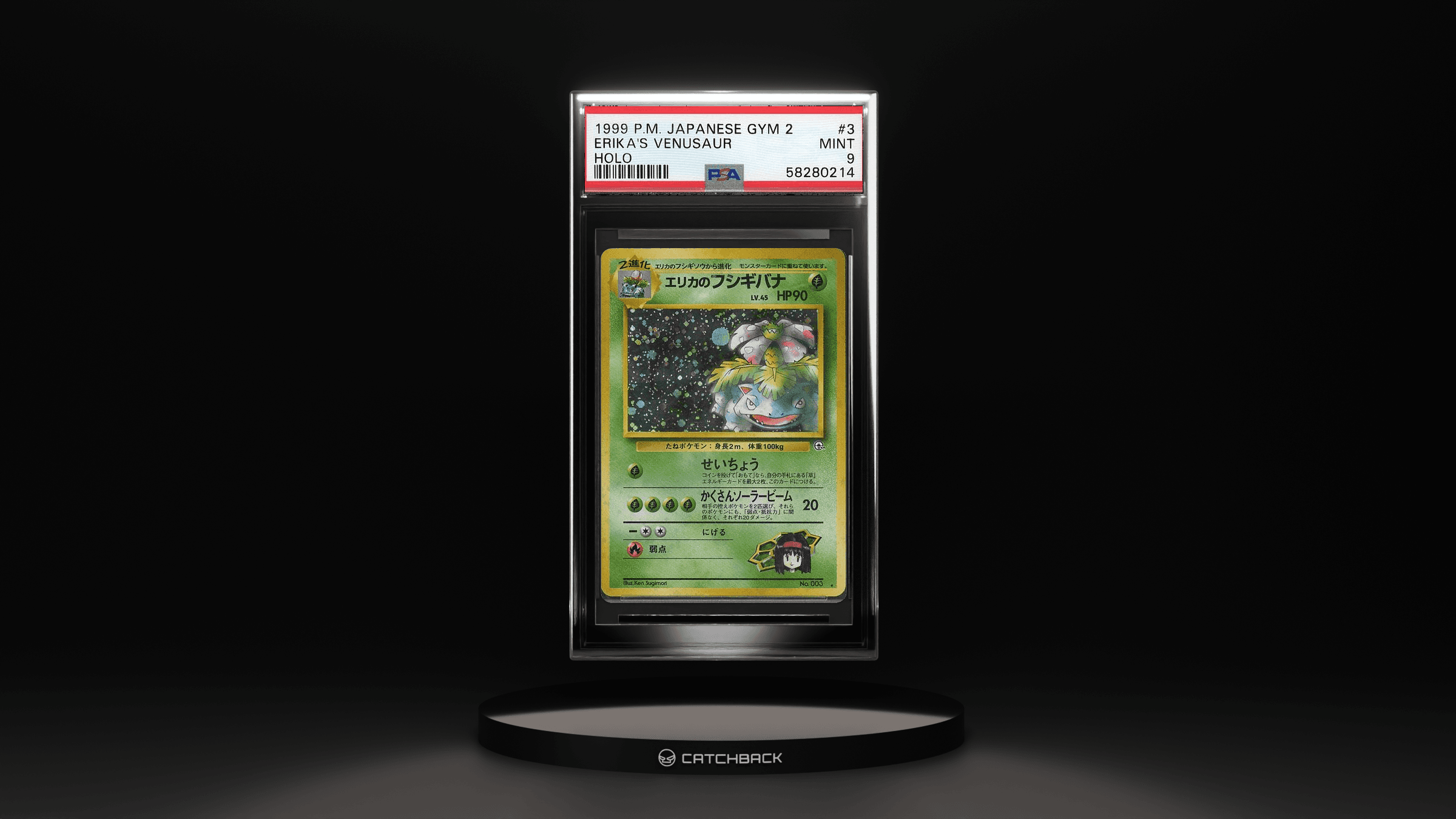 Erika's Venusaur Holo