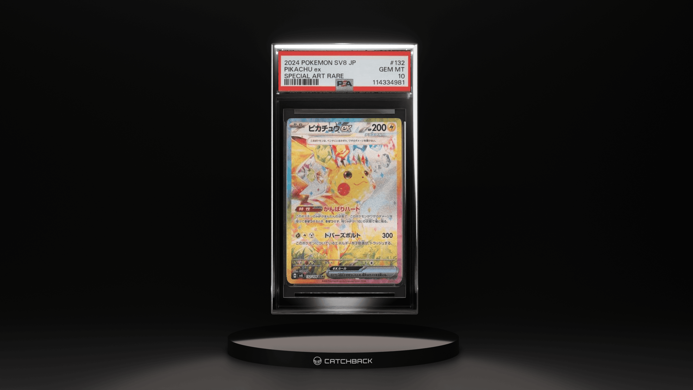 Pikachu Ex Special Art Rare
