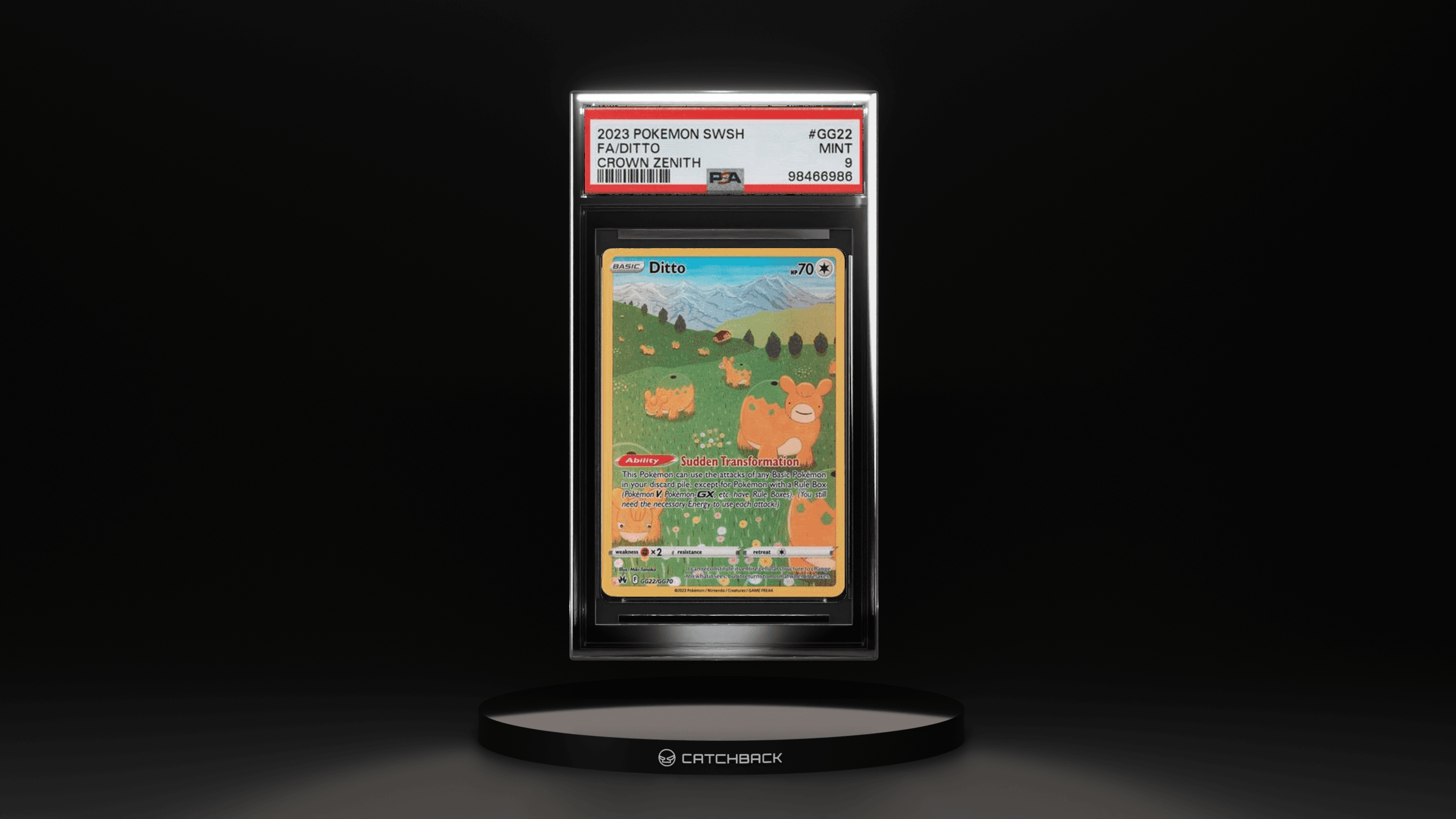 Fa/ Ditto Crown Zenith
