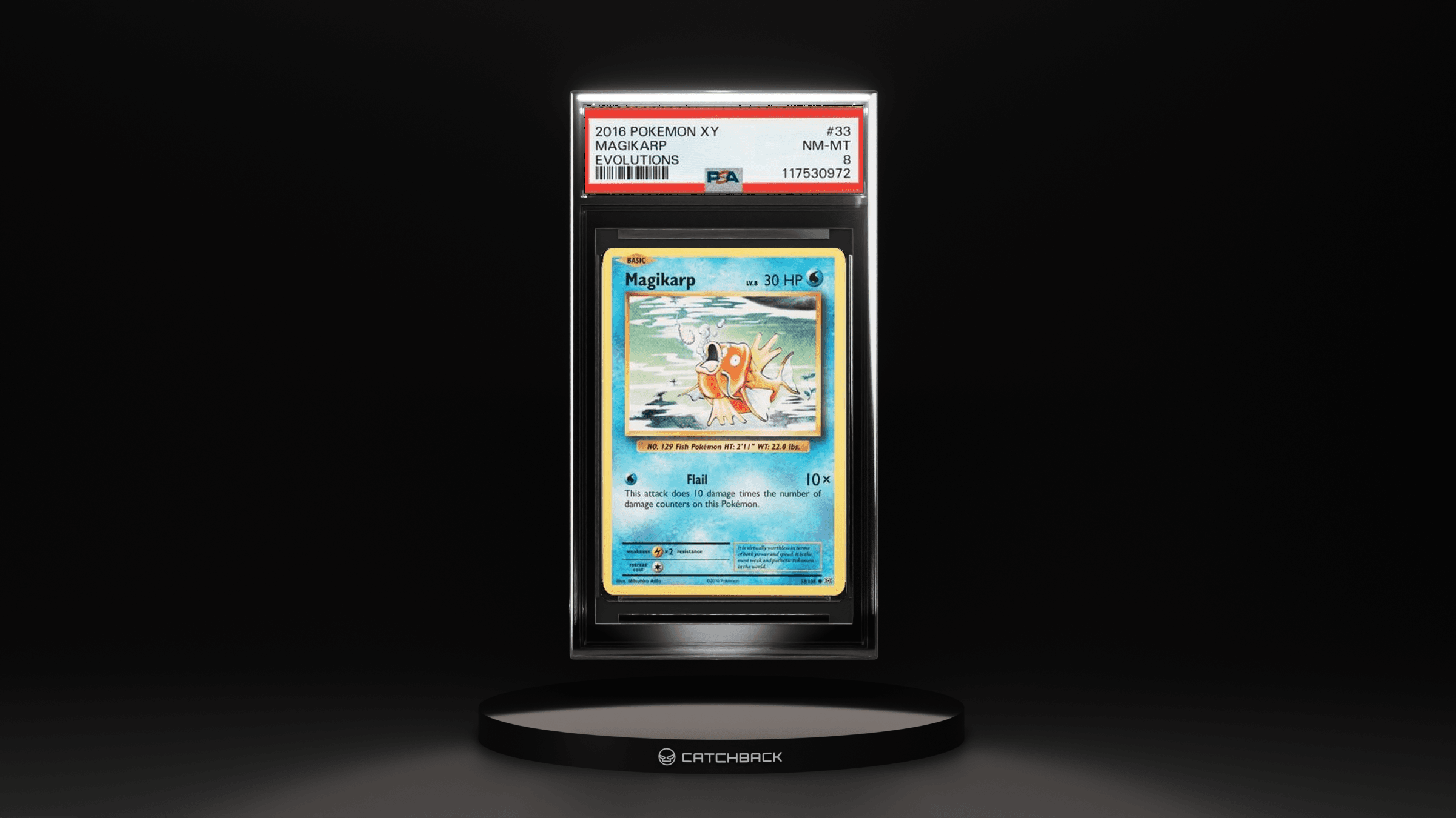 Magikarp Evolutions