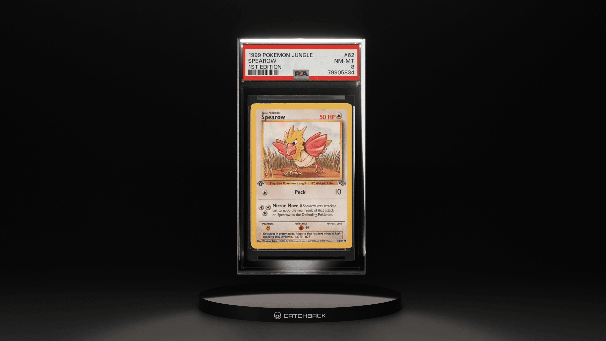 Spearow 1st Edition