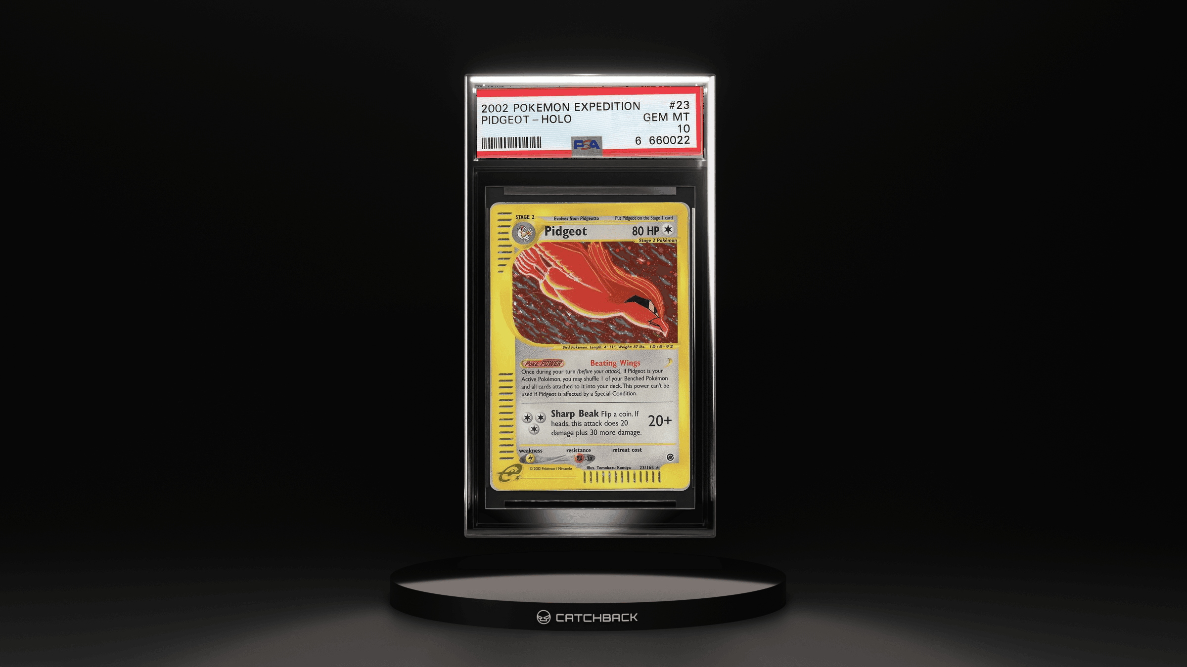 Pidgeot-holo