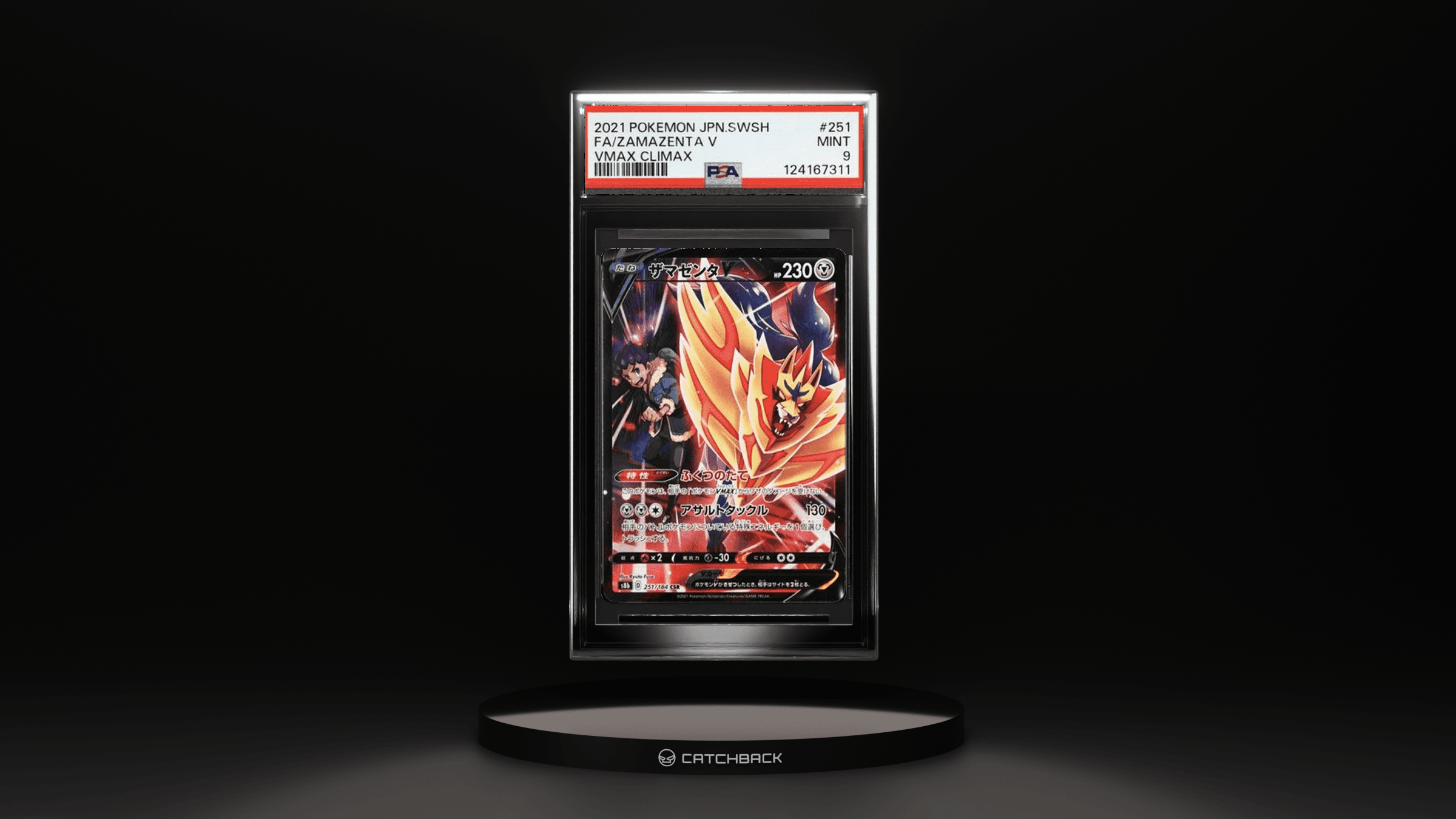 Fa/ Zamazenta V Vmax Climax
