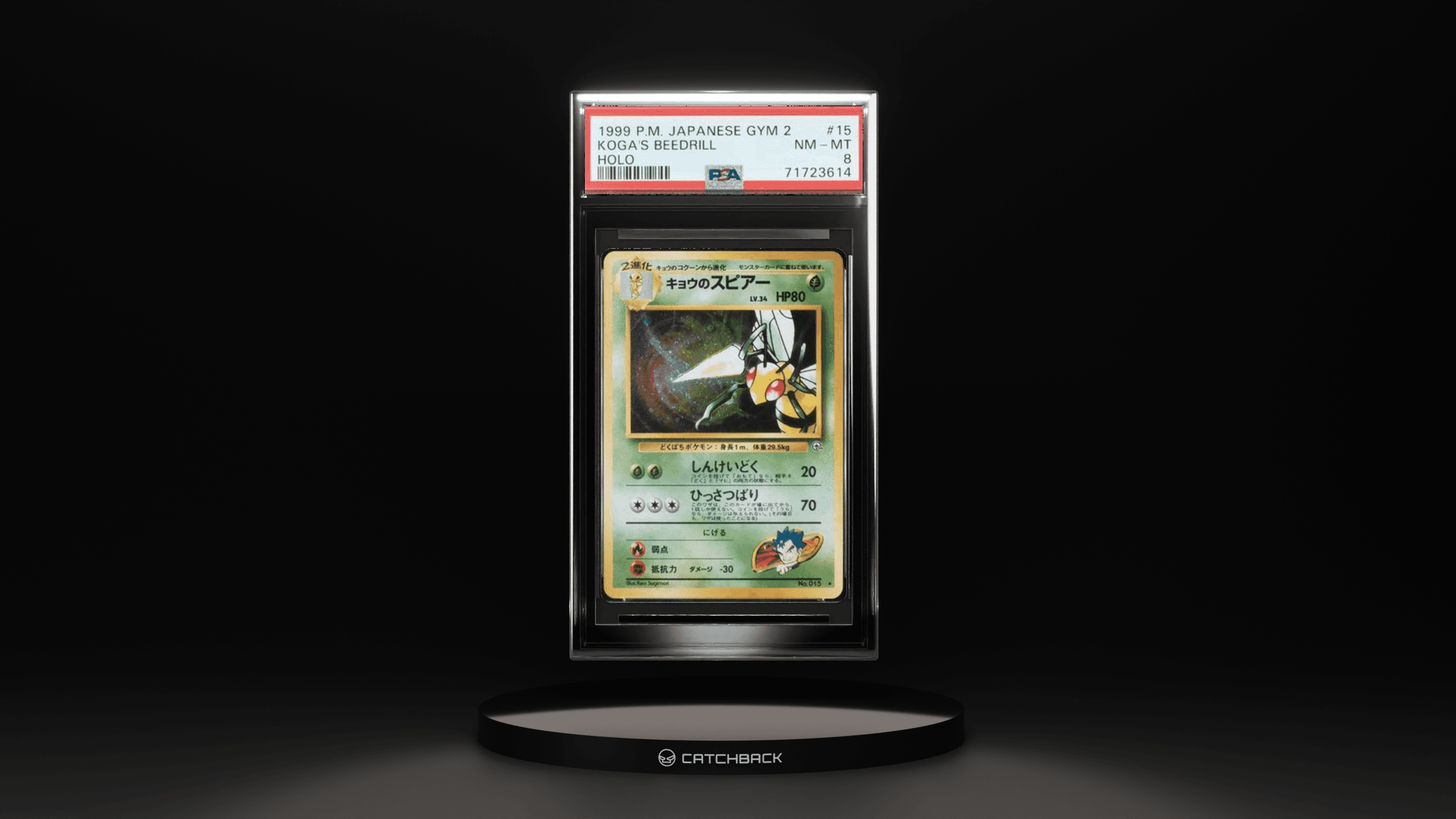Koga'S Beedrill