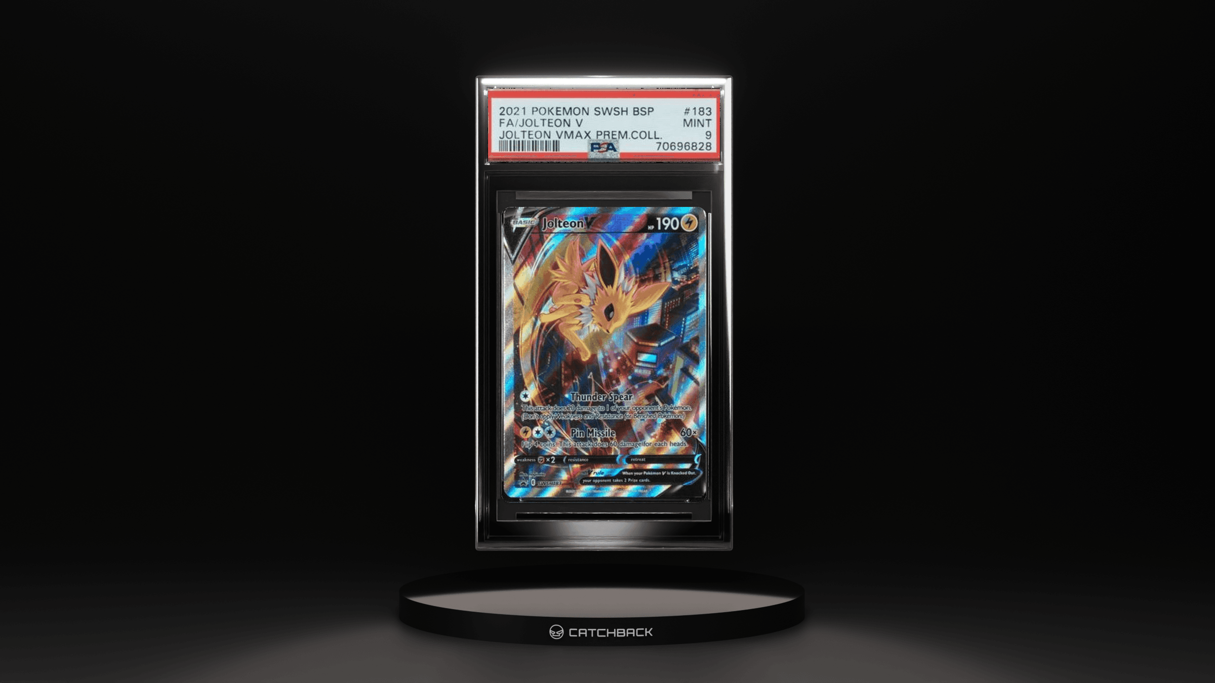 Fa/ Jolteon V Jolteon Vmax Prem.coll.