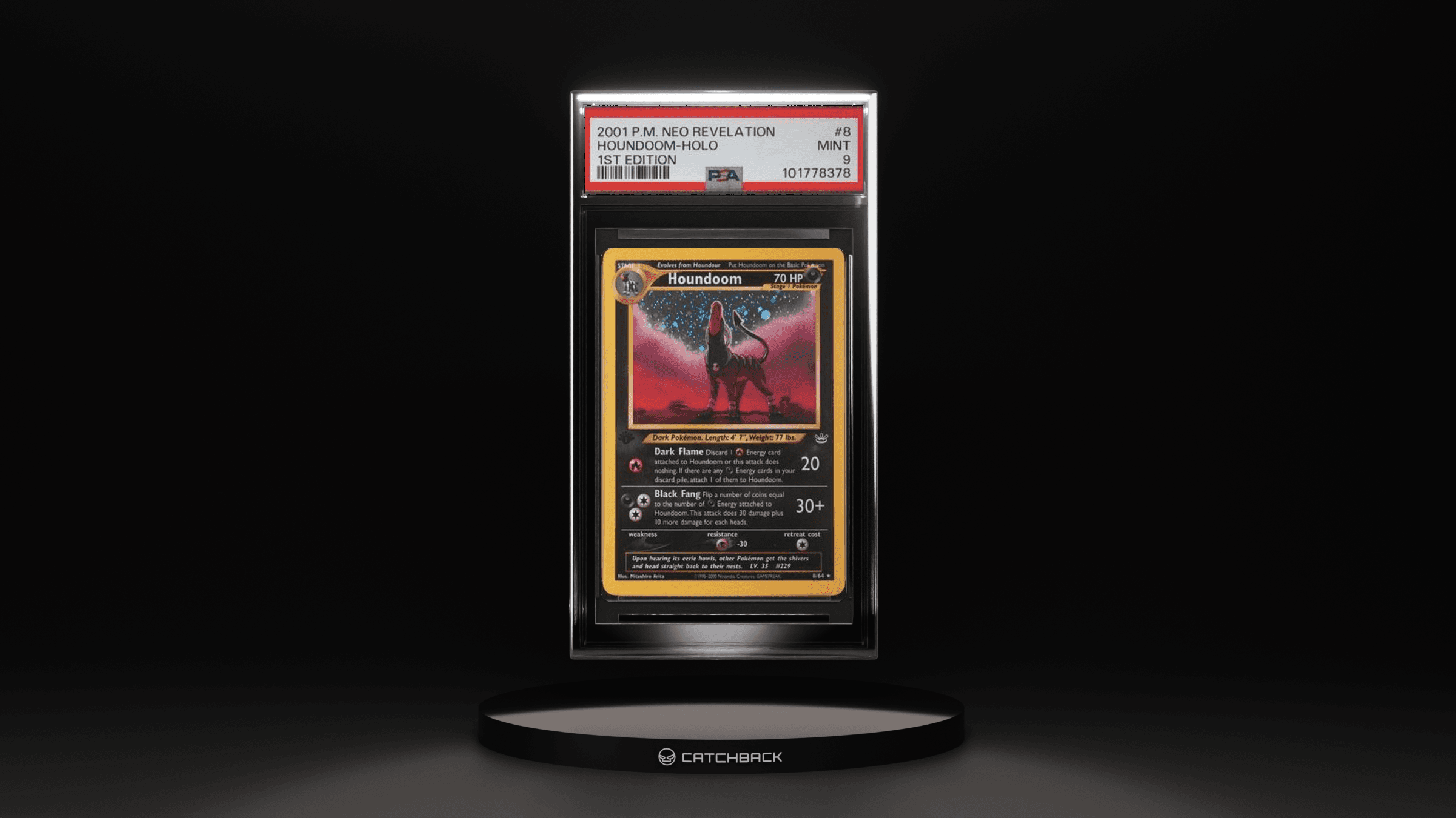 Houndoom-holo 1st Edition