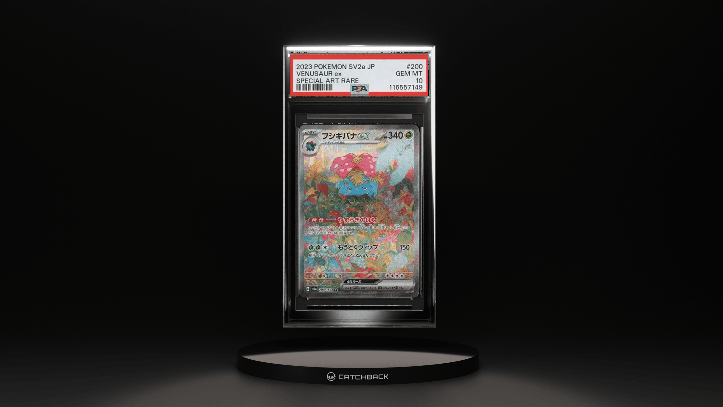 Japanese Venusaur Ex Special Art Rare