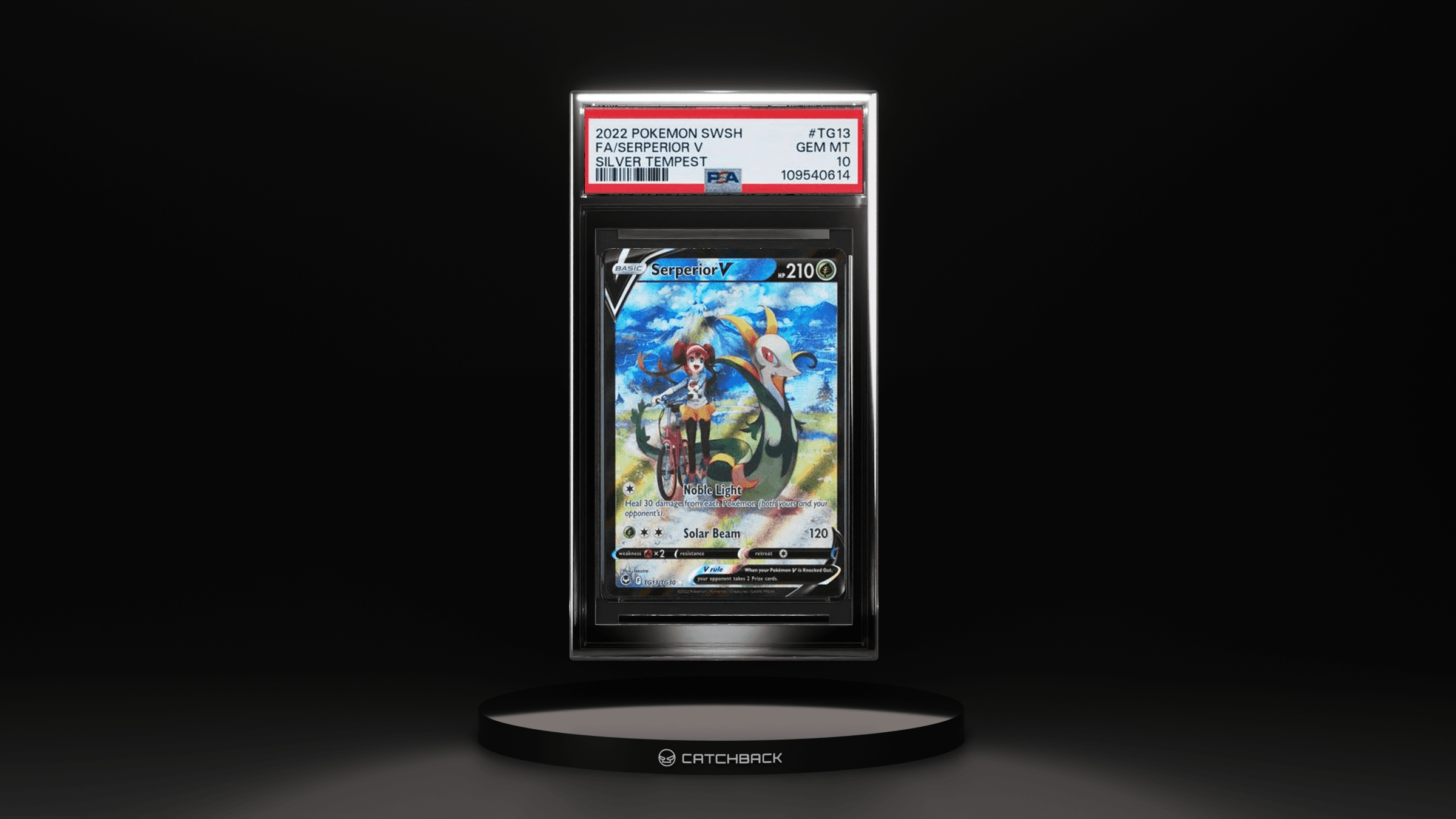 Serperior V Trainer Gallery