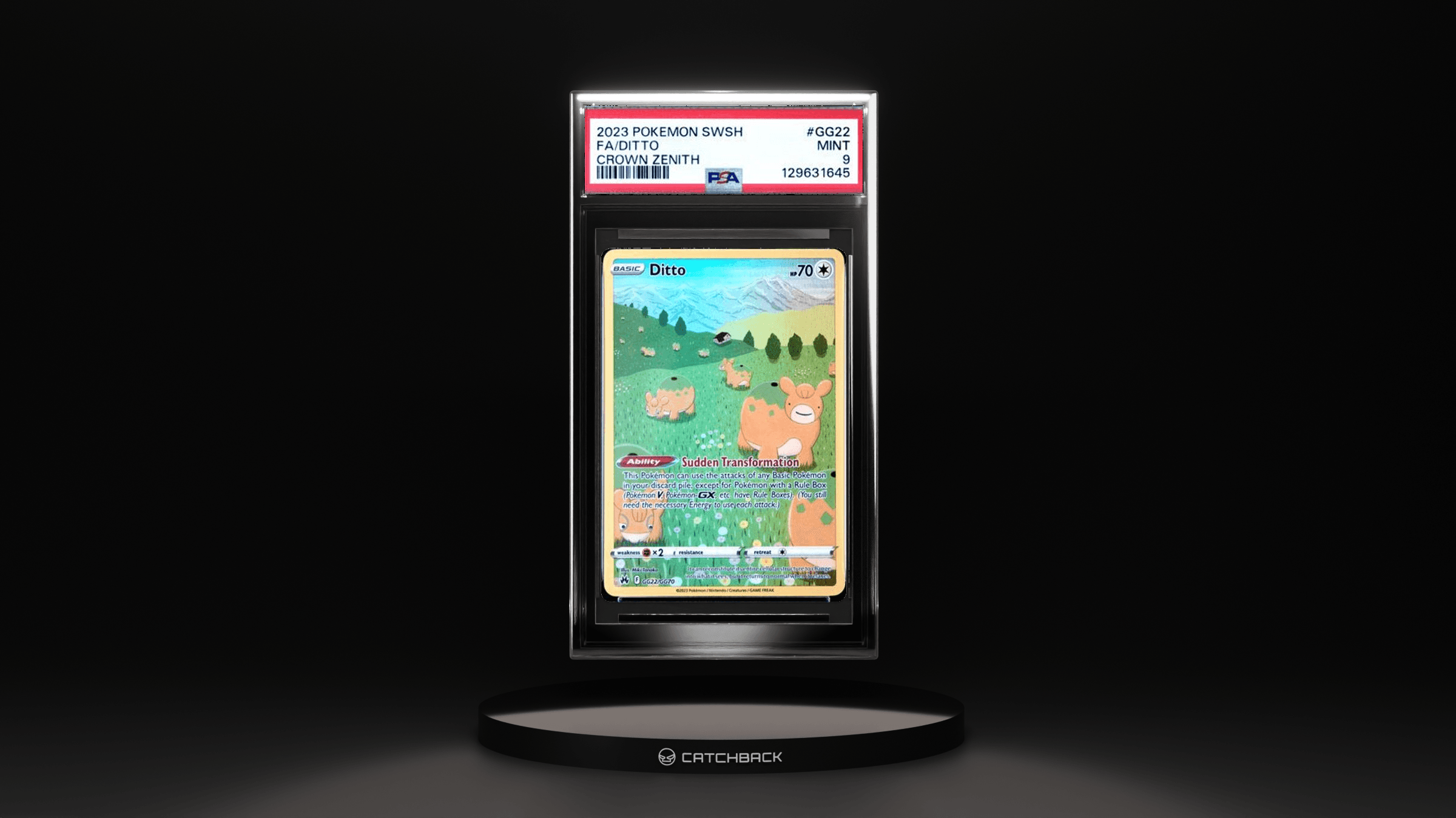 Fa/ Ditto Crown Zenith
