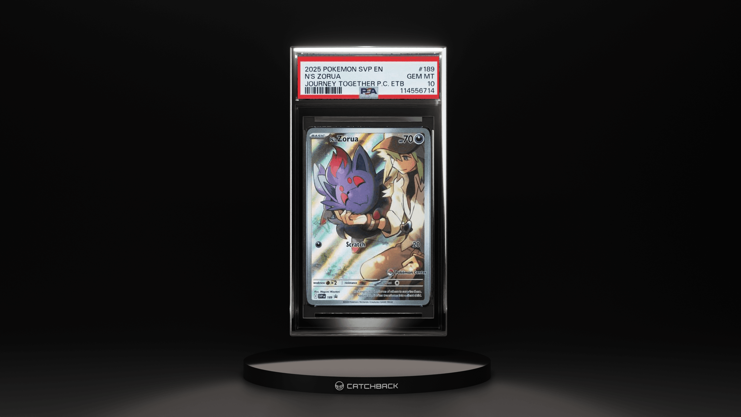 N's Zorua Journey Together Pc Etb