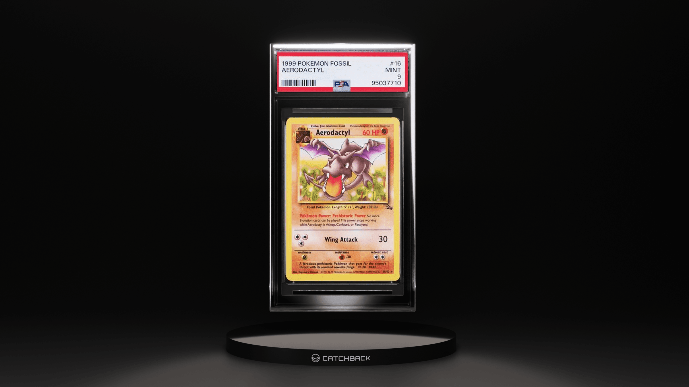 Aerodactyl