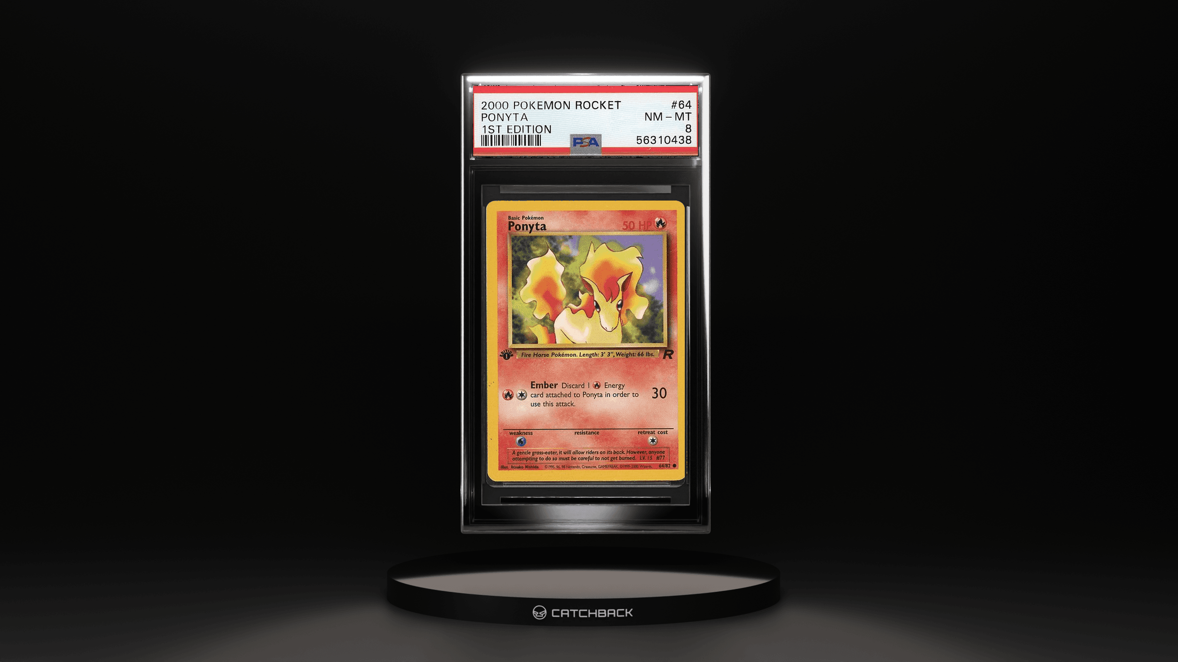 Ponyta 1st Edition