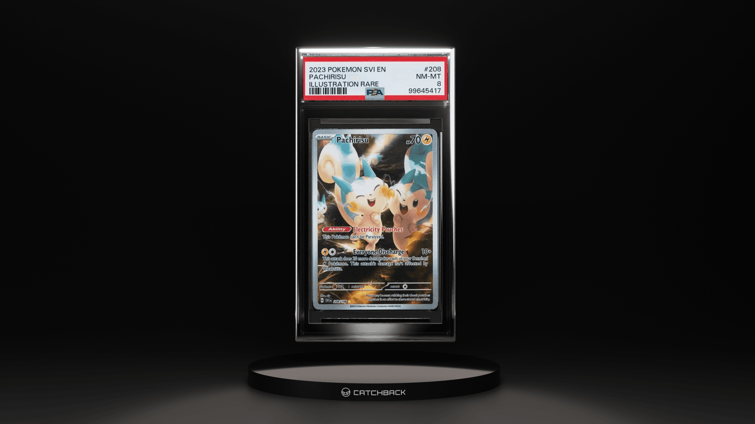 Pachirisu Illustration Rare