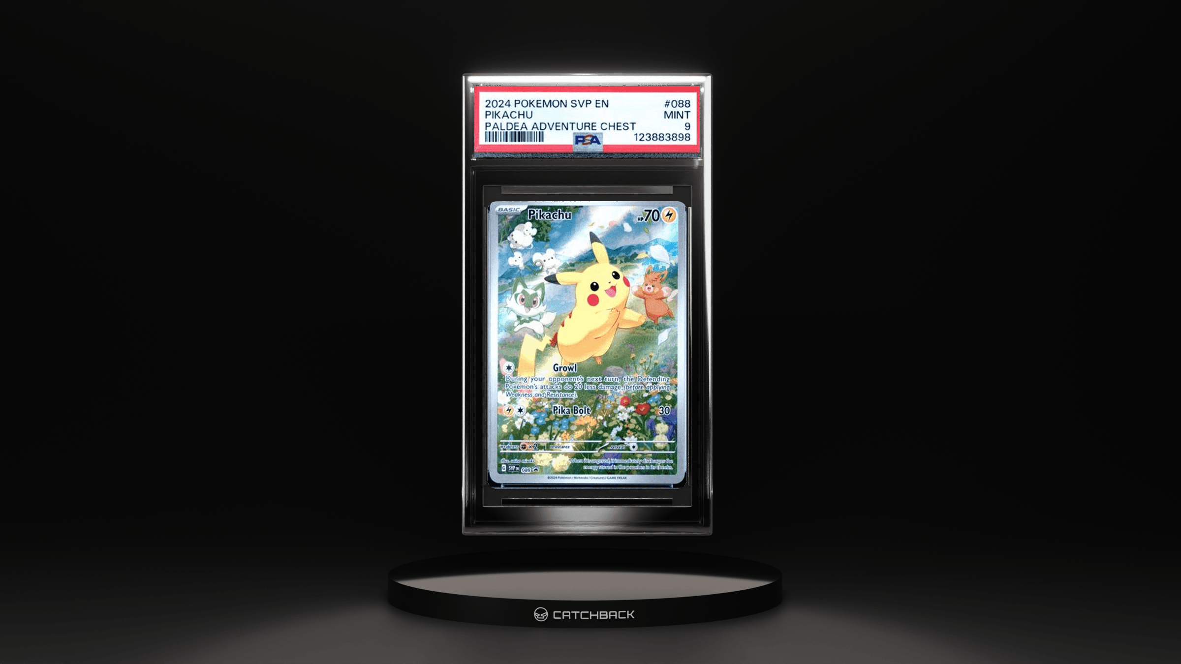 Pikachu Paldea Adventure Chest