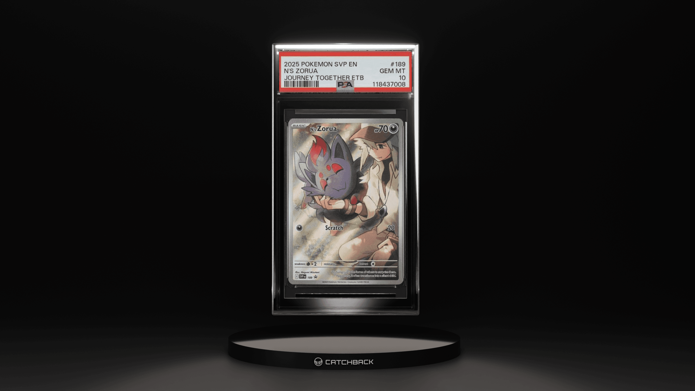N's Zorua Journey Together Etb