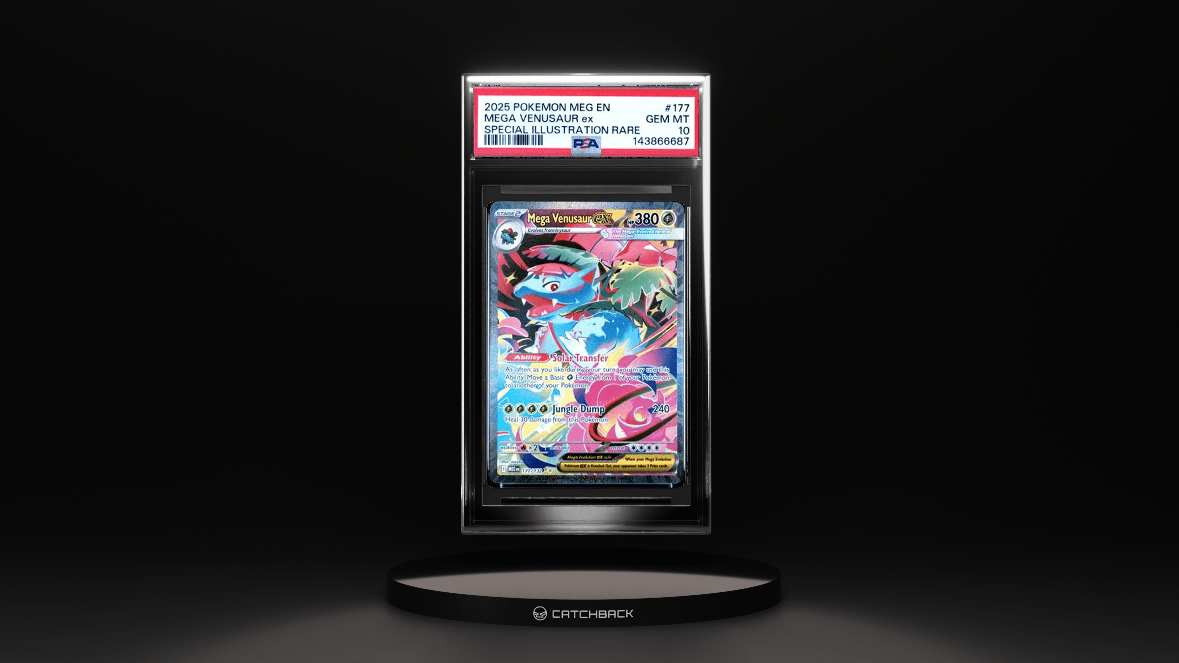 Mega Venusaur Ex Special Illustration Rare