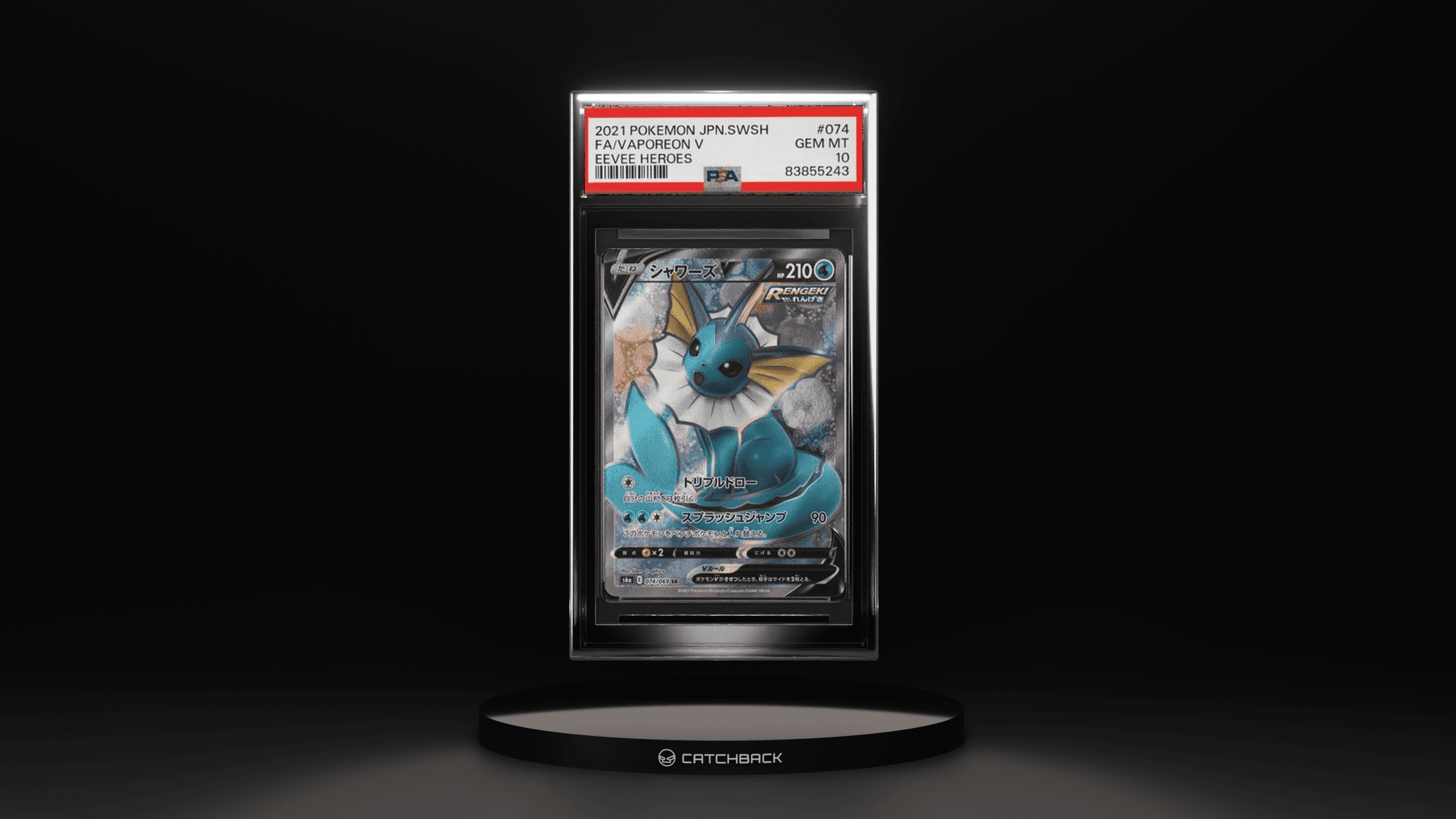 Fa/ Vaporeon V Eevee Heroes