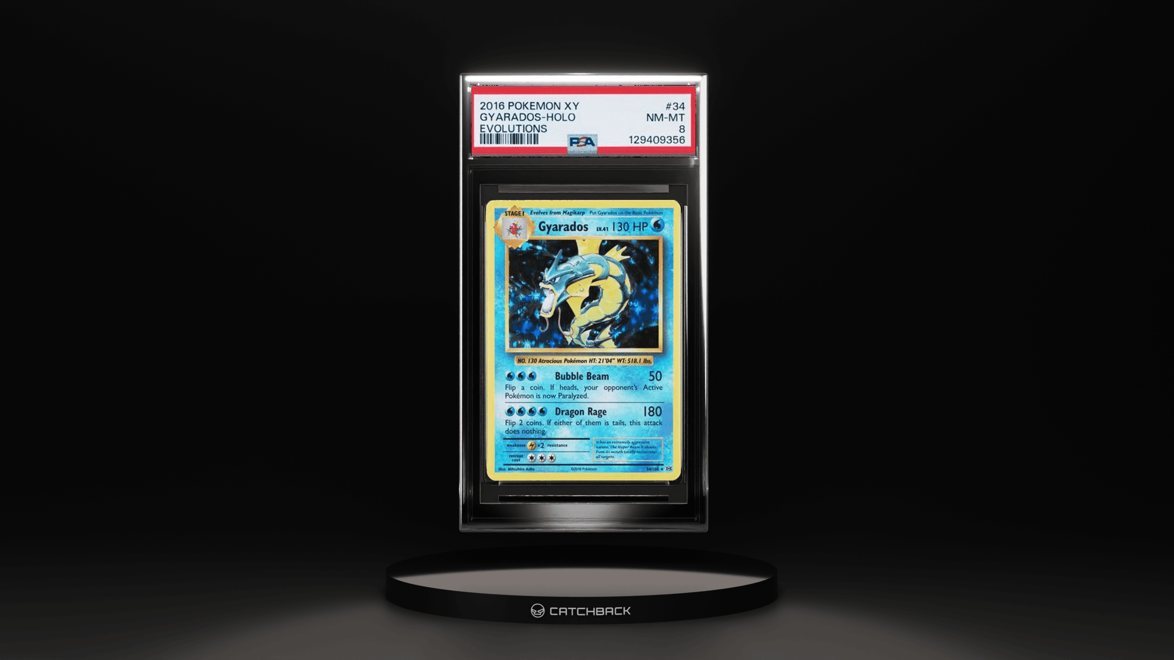 Gyarados-holo Evolutions